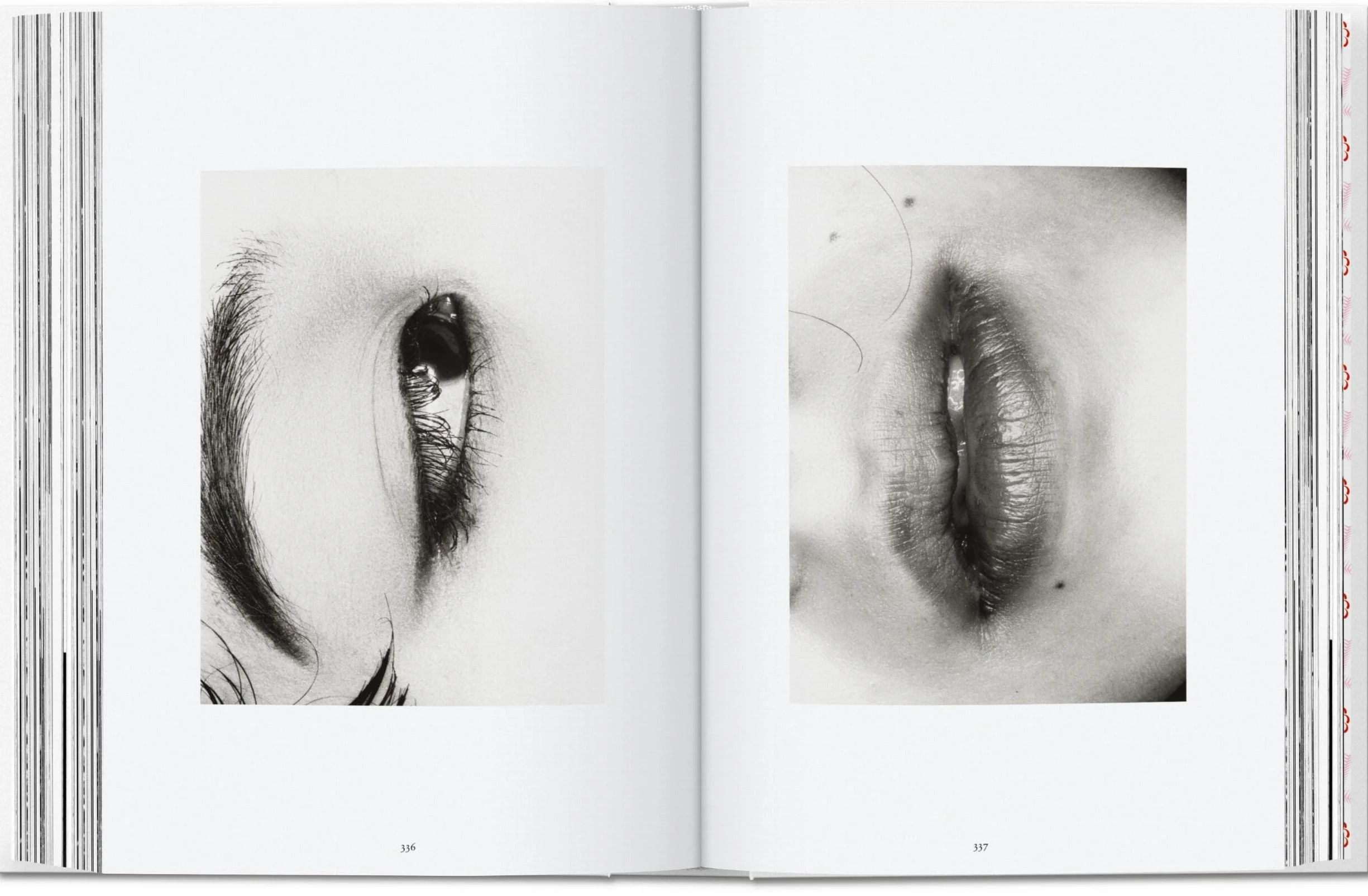 Araki – 40Th Anniversary Edition (trilingüe) (45th Edition)