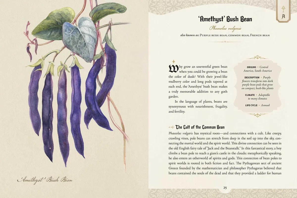 The Goth Garden: The Mystery, Beauty, and Lore of Dark Gardening