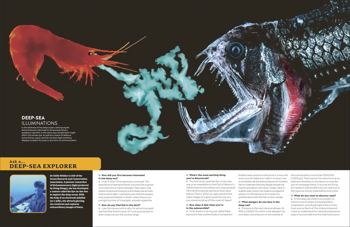 Eyewitness Encyclopedia of Animals
