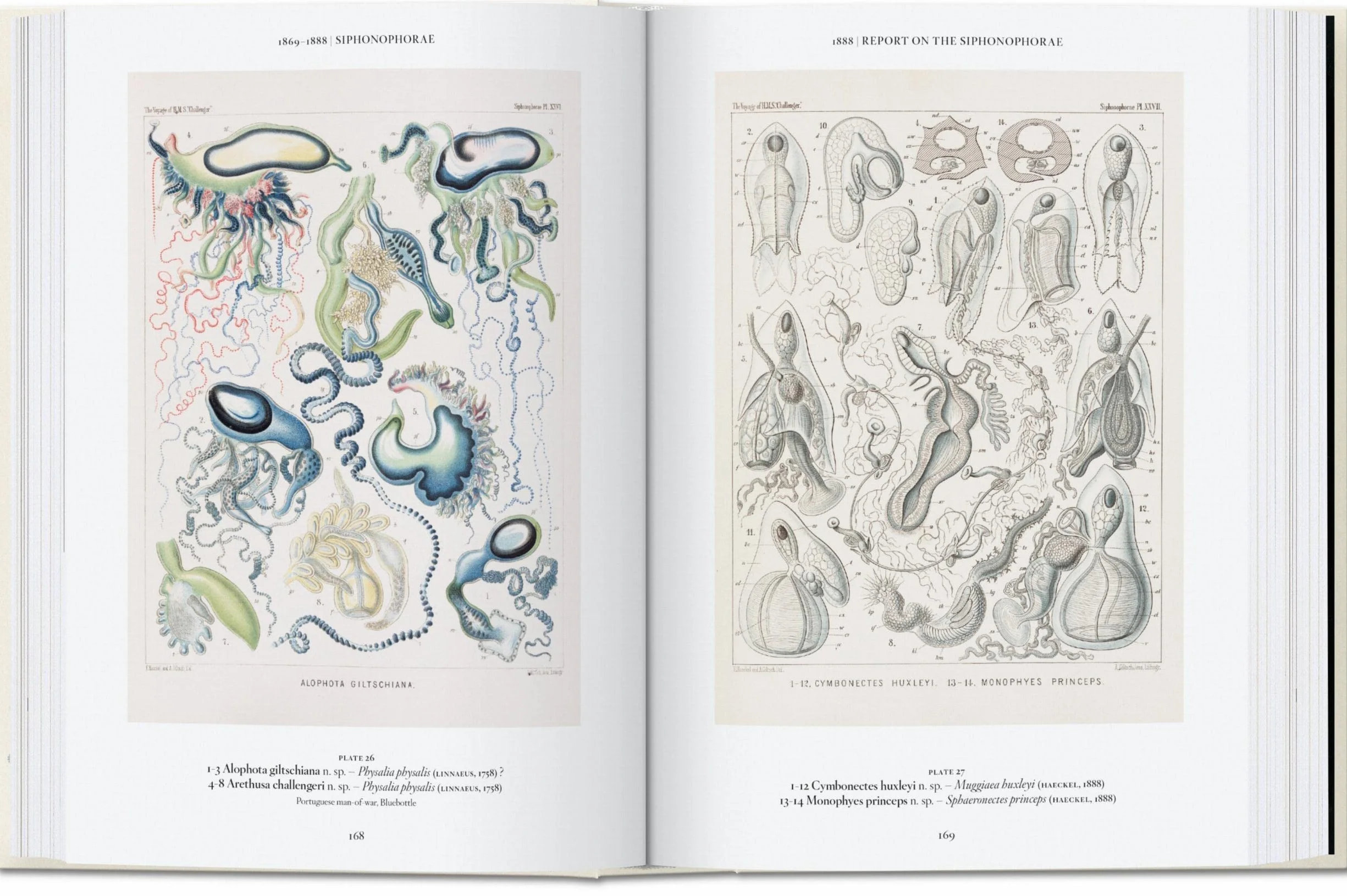 Ernst Haeckel – 40Th Anniversary Edition: 45th Ed. (45th Edition)
