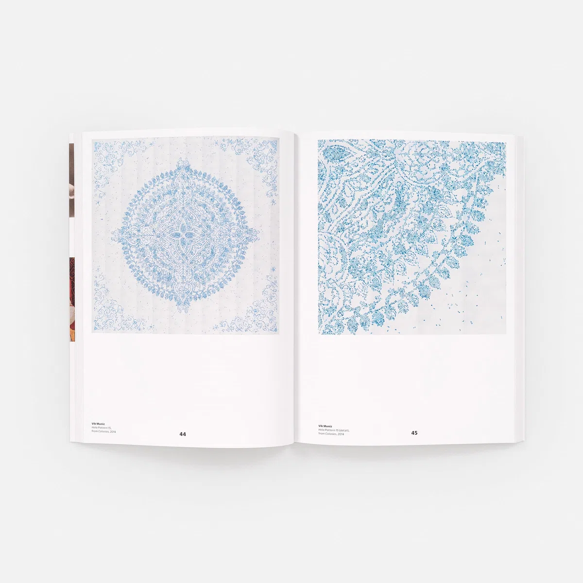 Vik Muniz The Photography Workshop Series /anglais: on photography, mind, and matter