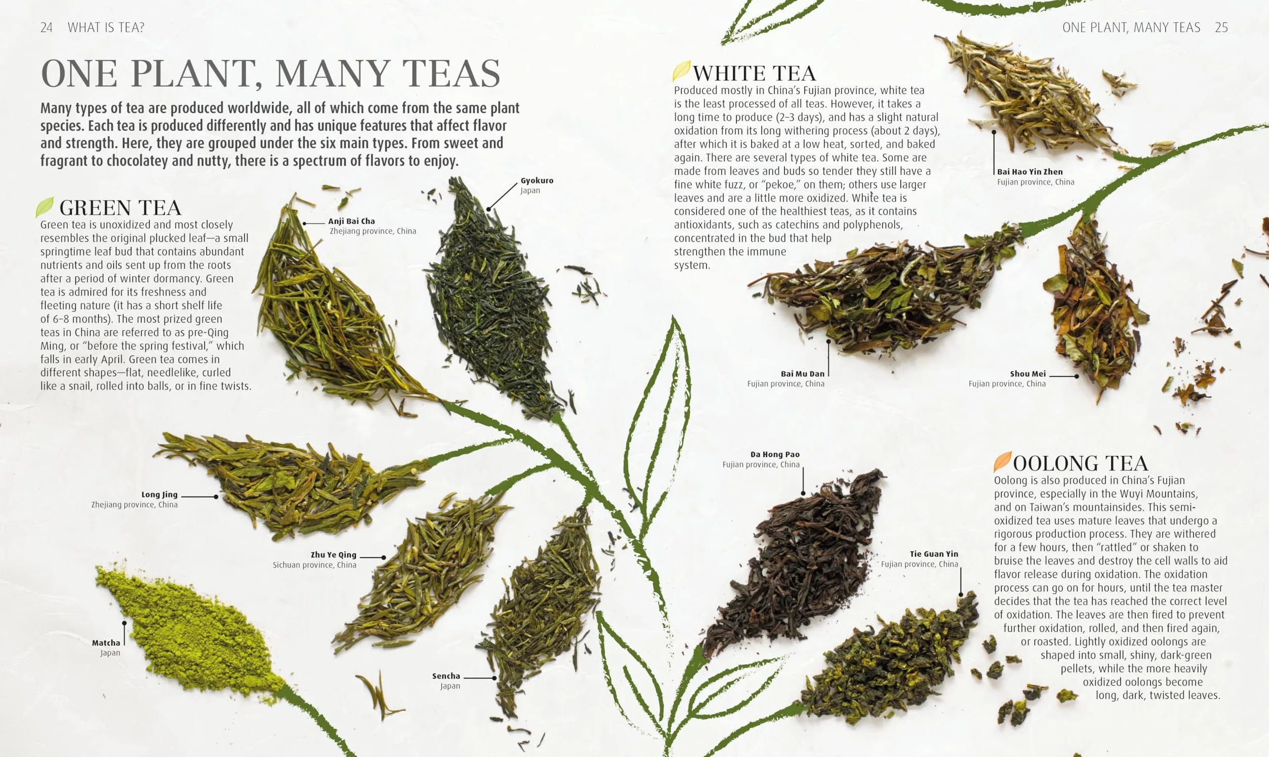 The Tea Book: Experience the World’s Finest Teas, Qualities, Infusions, Rituals, Recipes