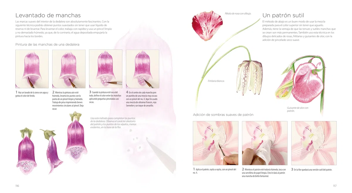 PINTURA BOTÁNICA: Aprende a pintar flores y plantas con acuarela