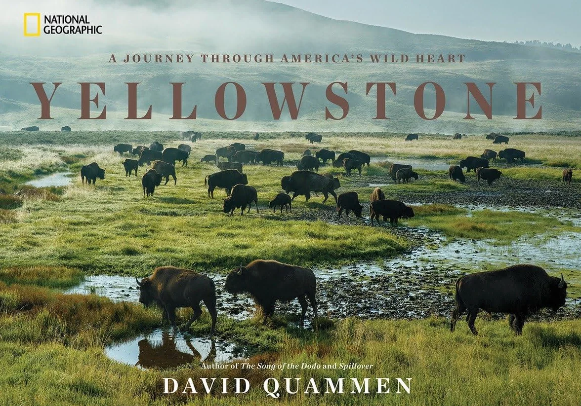 Quammen, D: Yellowstone [Idioma Inglés]