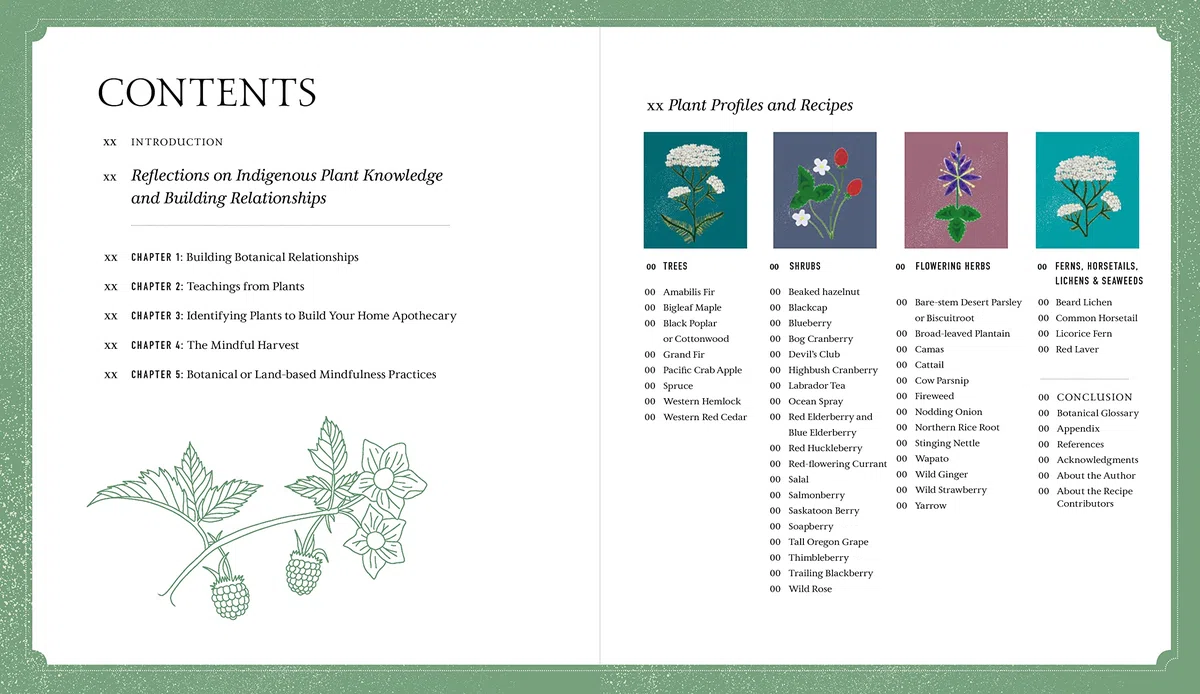 Held by the Land: A Guide to Indigenous Plants for Wellness