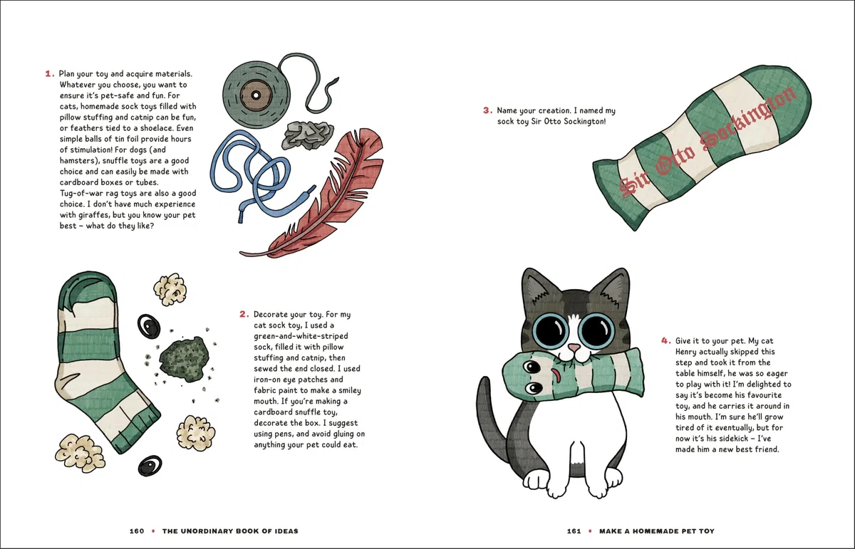 The Unordinary Book of Ideas: Everywhen Projects for Rainy Days (Offline Books)