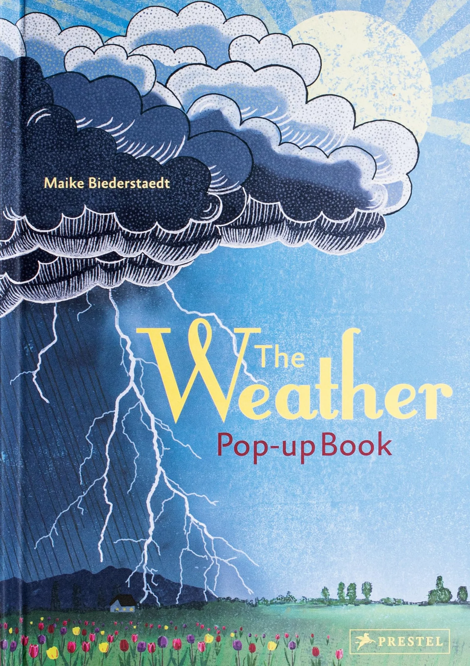 The Weather: Pop-up Book