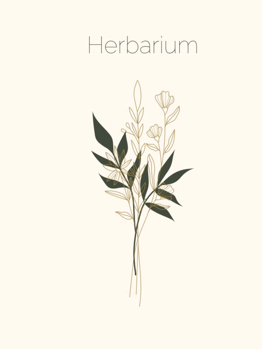 Herbarium: A Book to Preserve Classify and Collect Pressed Flowers and Plants for 100 Dried Plants Hardcover