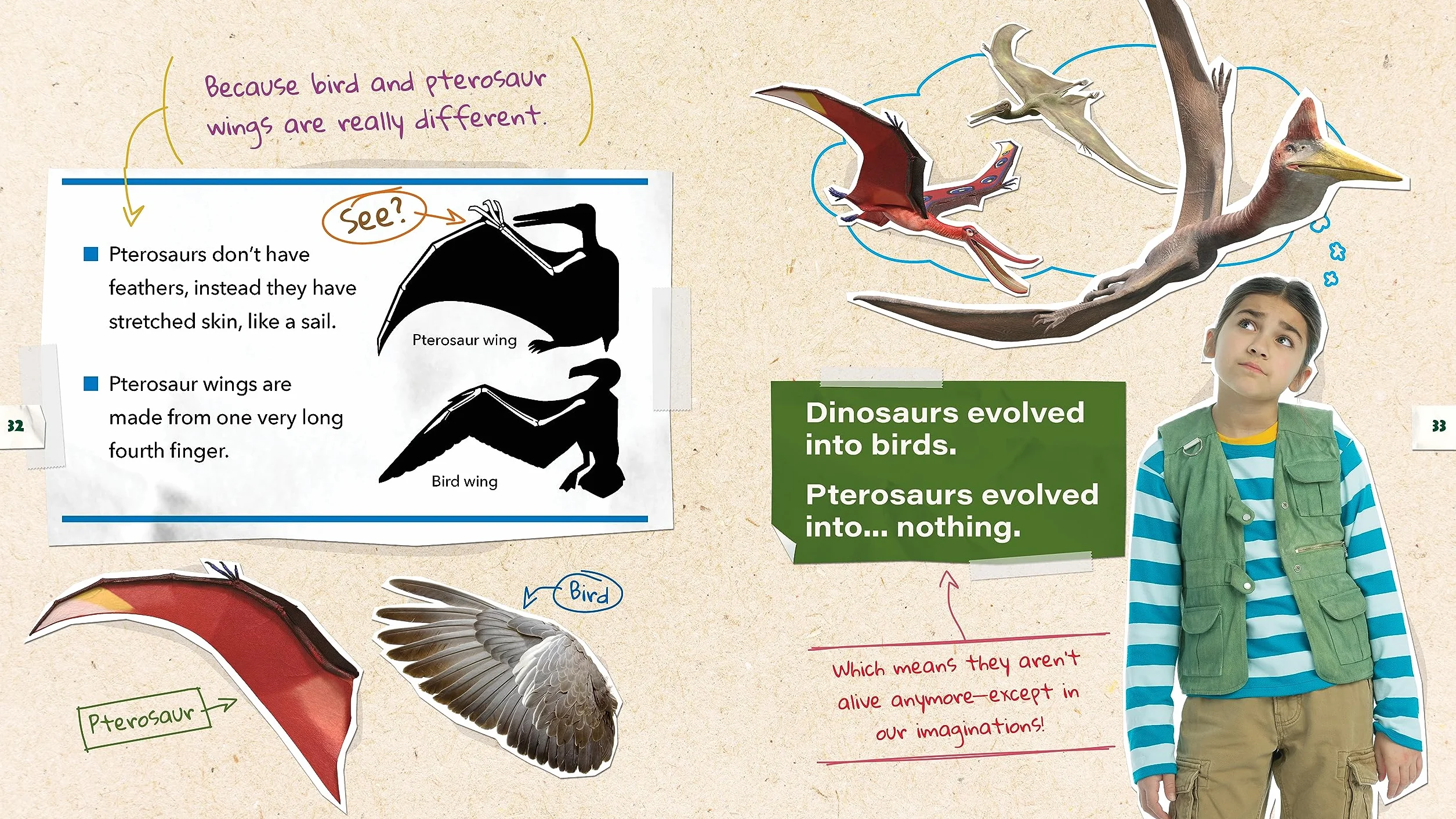 Dino Dana: Dino Field Guide: Pterosaurs and Other Prehistoric Creatures! (Dinosaurs for Kids, Science Book for Kids, Fossils, Prehistoric): 2
