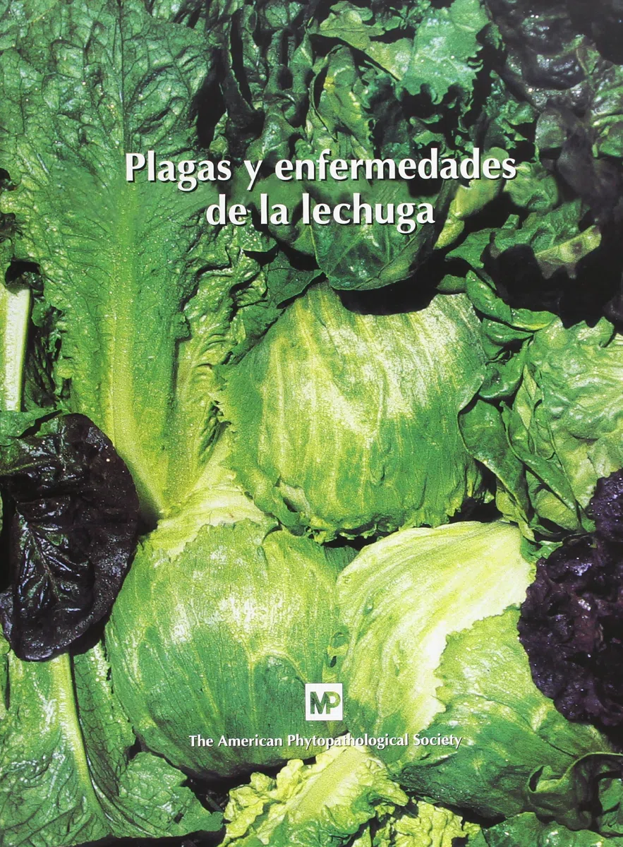 Plagas y enfermedades de la lechuga (Patología Vegetal)