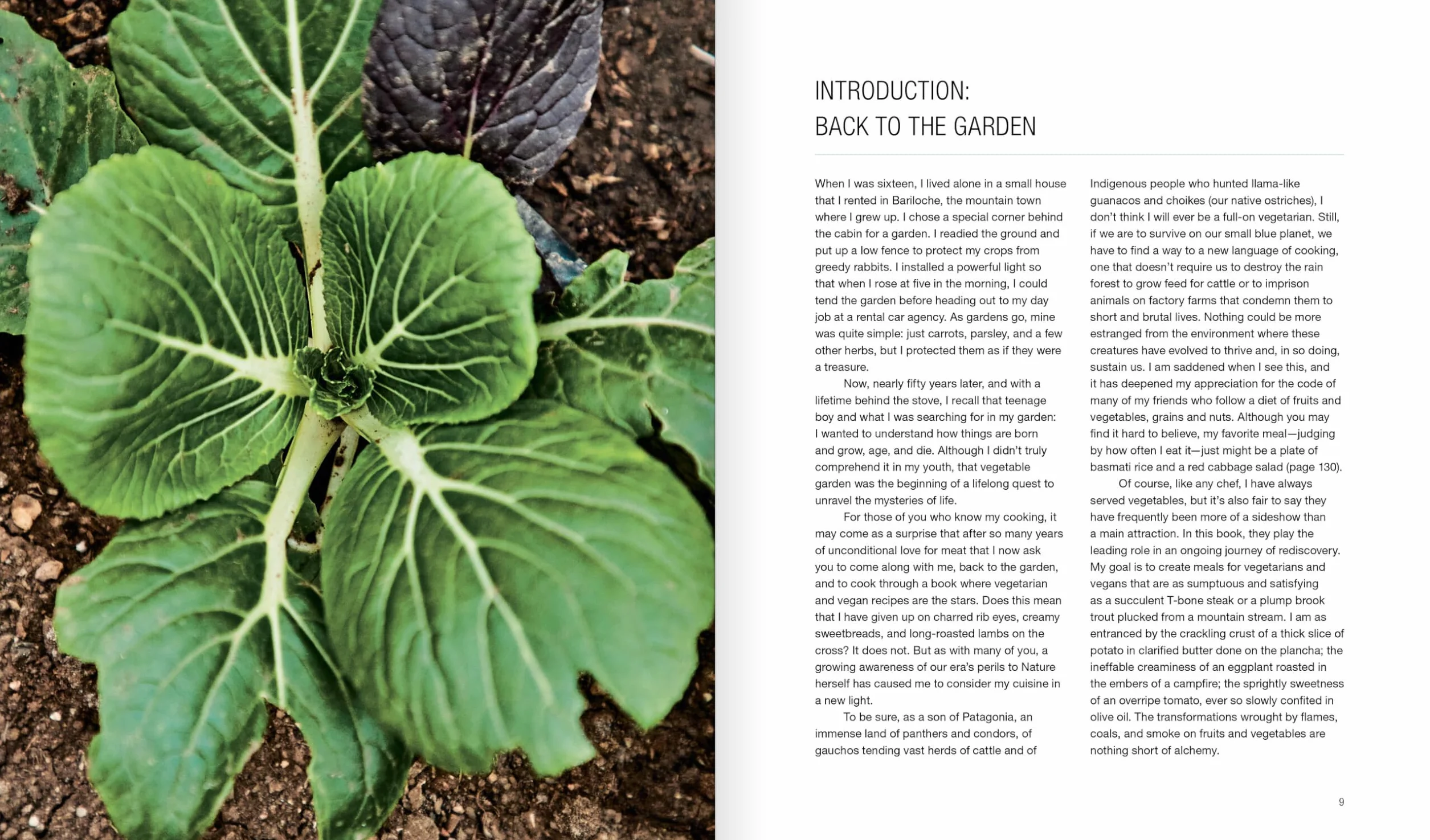 Green Fire: Extraordinary Ways to Grill Fruits and Vegetable