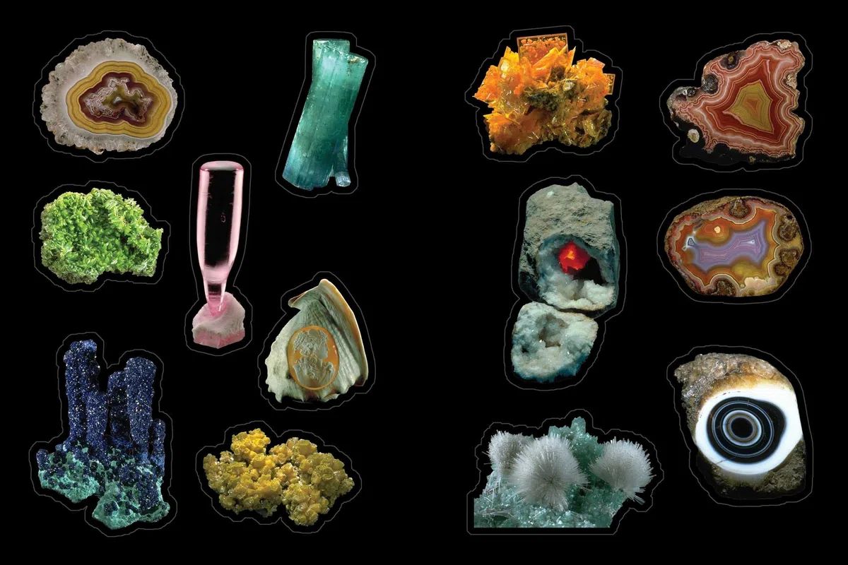 Cabinet of Curiosities: Over 1,000 Curated Stickers from the Fascinating Collections of the Smithsonian (Smithsonian Sticker Books)