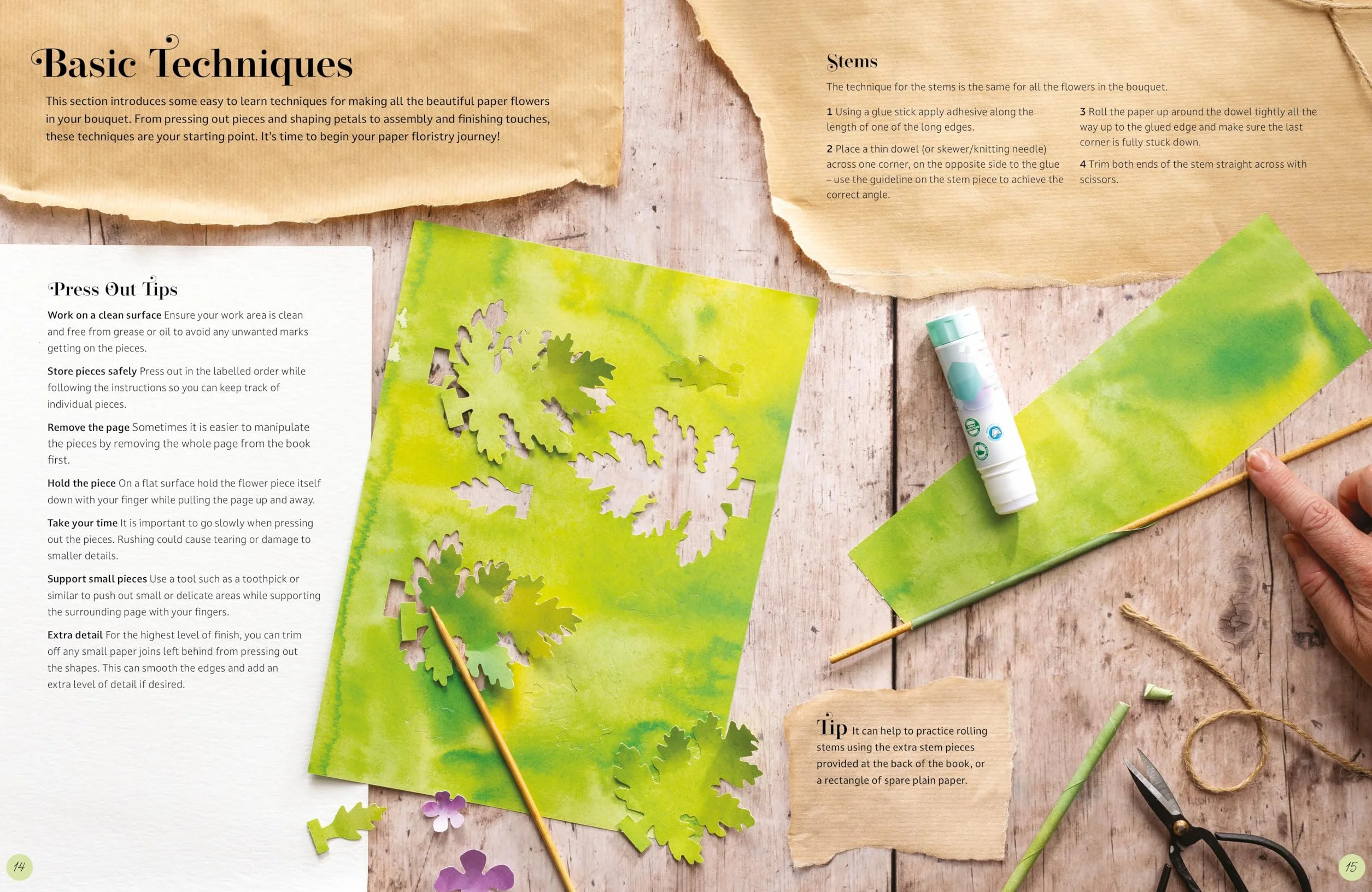 The Bouquet in a Book: Pre-punched pages to press out and make paper flowers: 1