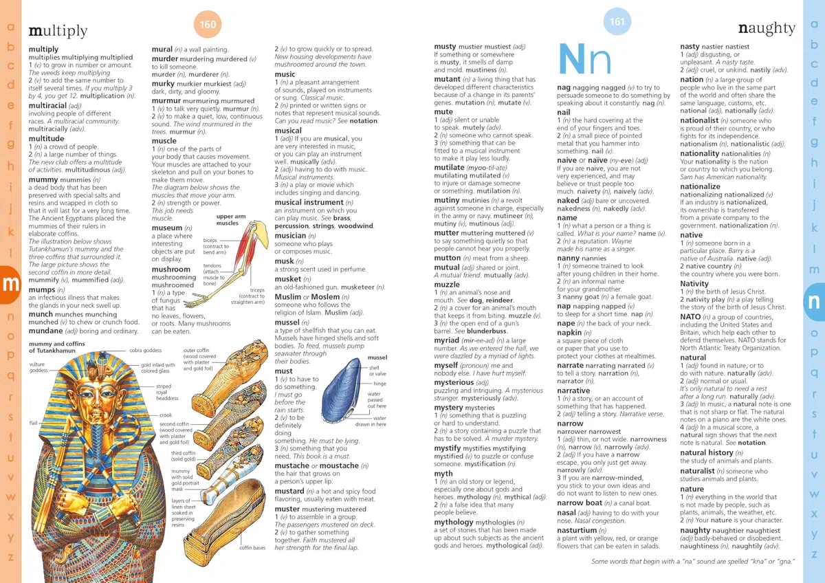 Illustrated English Dictionary: 2 (Usborne Illustrated Dictionaries and Thesauruses)