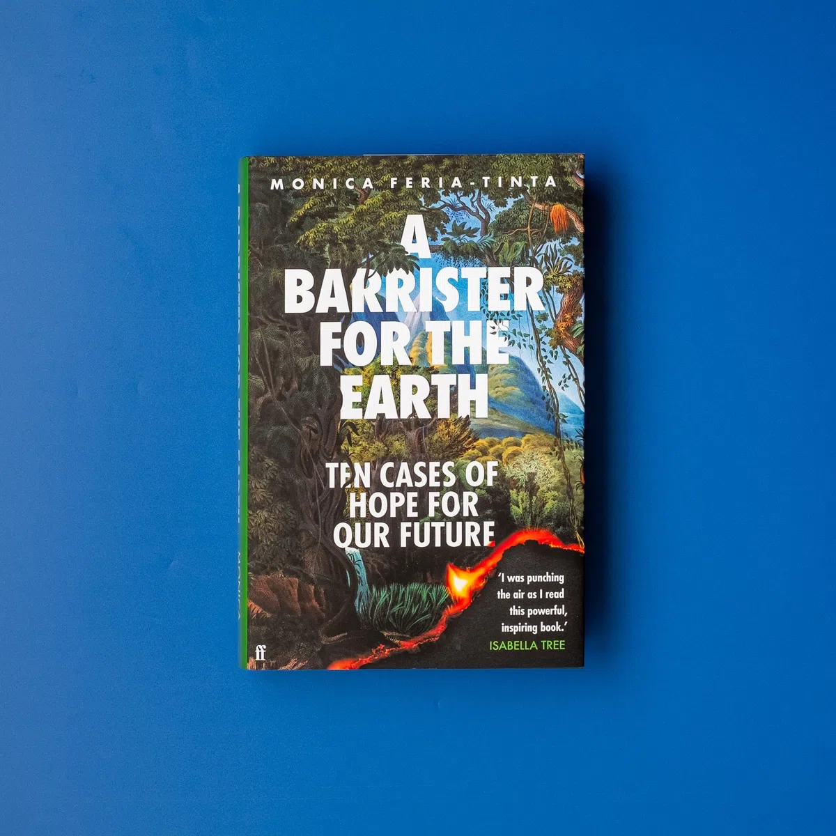 A Barrister for the Earth: Ten Cases of Hope for Our Future