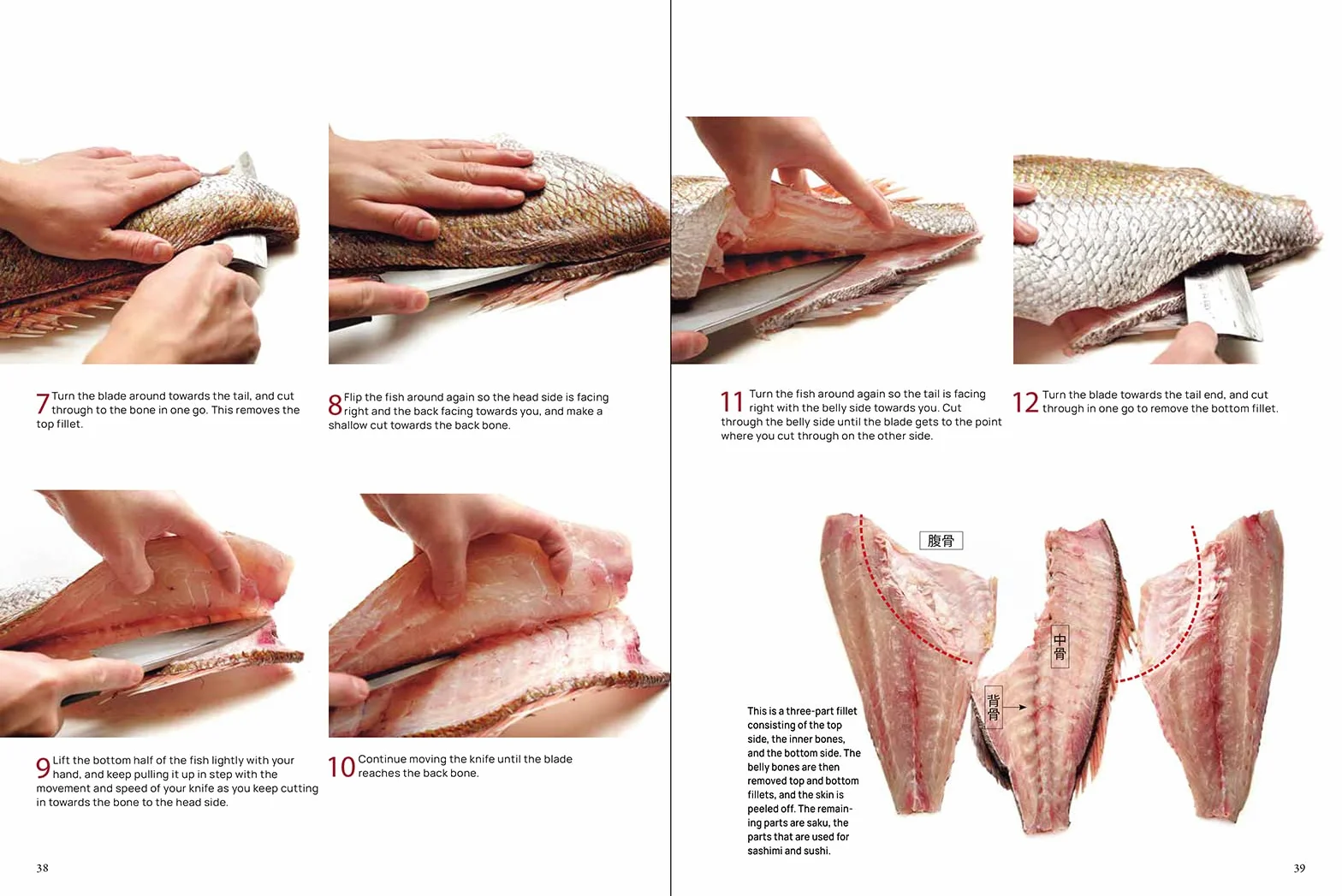 The Art and Science of Sushi: A Comprehensive Guide to Ingredients, Techniques and Equipment