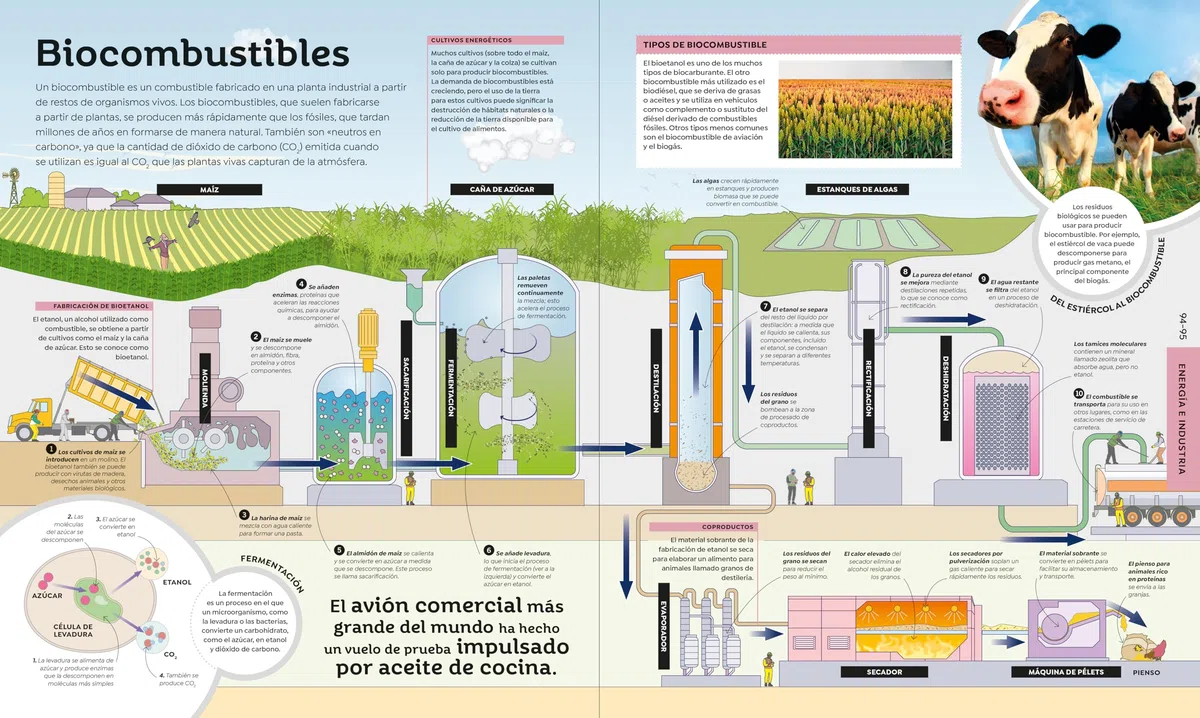 Cómo funciona la tecnología: De los microchips a los cohetes espaciales (Enciclopedia visual juvenil)