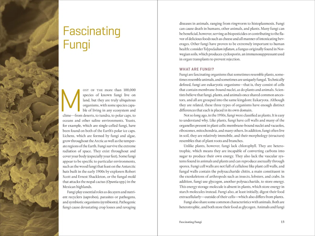 Teaming with Fungi: The Organic Grower's Guide to Mycorrhizae (Science for Gardeners)