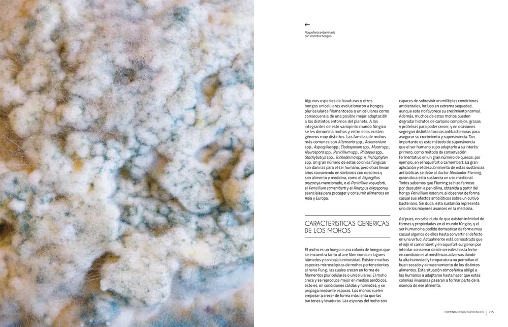 Fermentar. Fundamentos y técnicas de un arte milenario (COCINAS DEL MUNDO)