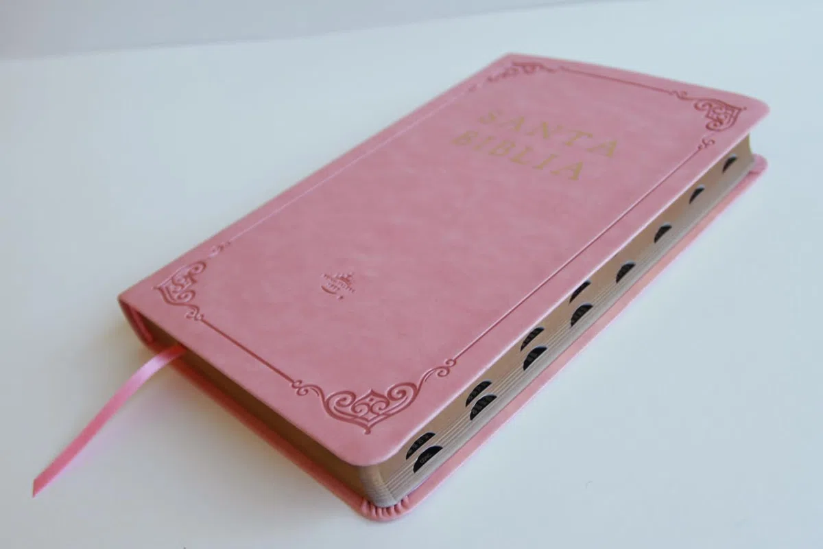 Biblia RVR 1960 letra grande tamaño manual, Piel rosada con índice / Spanish Bible RVR 1960 Handy Size Large Print Leathersoft pink with index: ... 1960 Leathersoft (ORIGEN EVANGÉLICO)