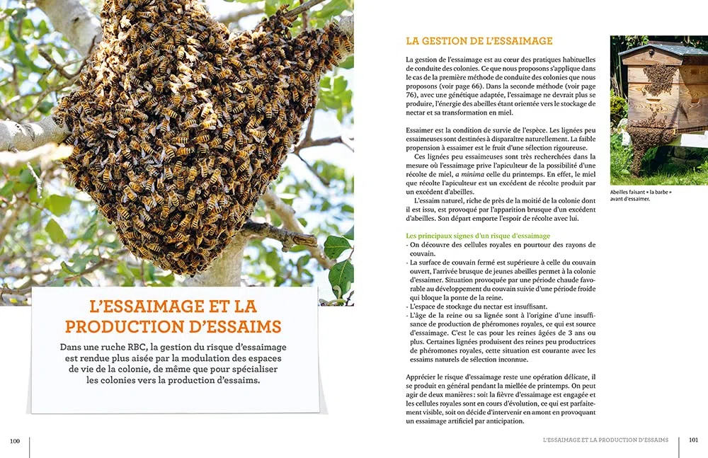 La ruche basse consommation d'énergie: Une "révolution apicole"