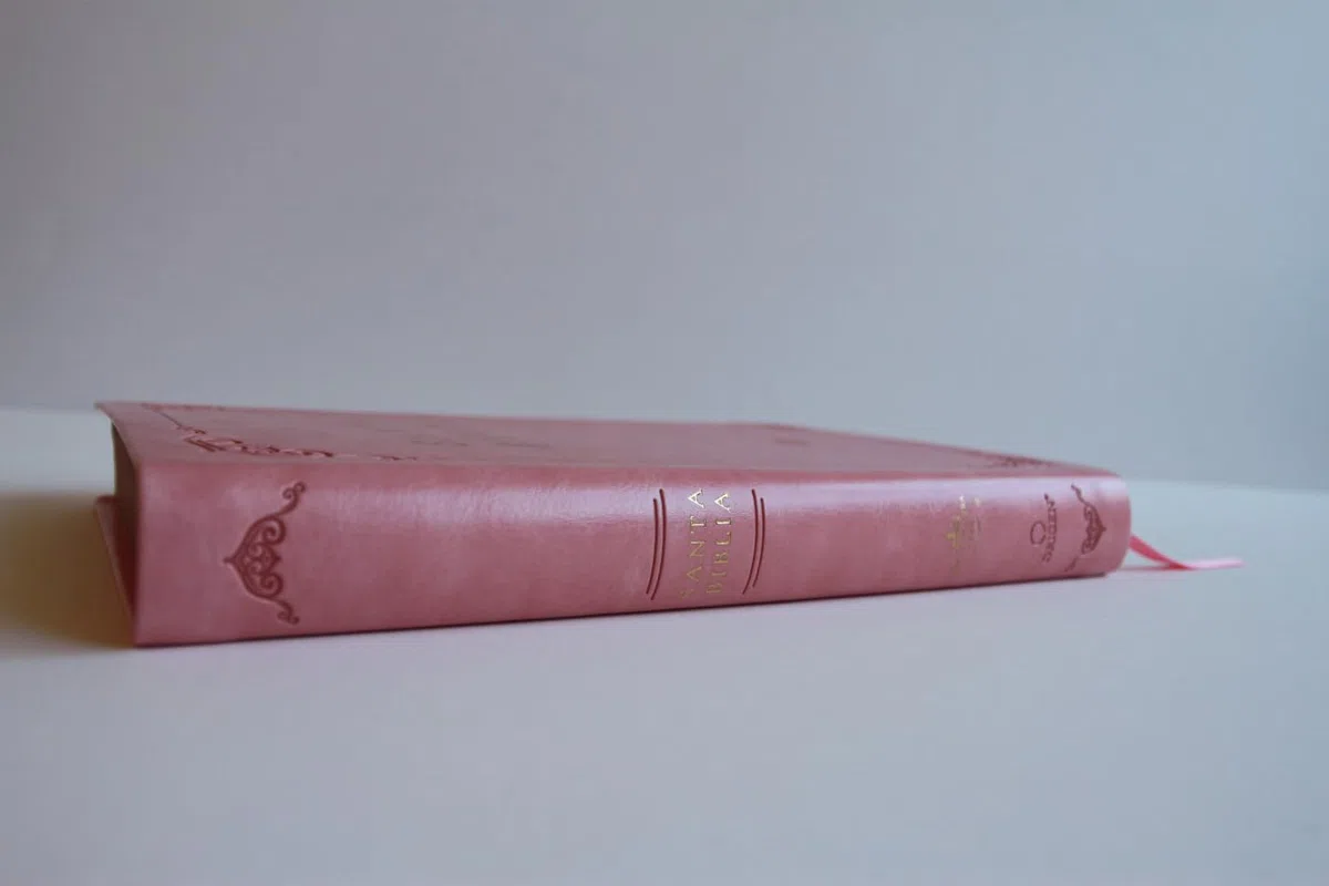 Biblia RVR 1960 letra grande tamaño manual, Piel rosada con índice / Spanish Bible RVR 1960 Handy Size Large Print Leathersoft pink with index: ... 1960 Leathersoft (ORIGEN EVANGÉLICO)