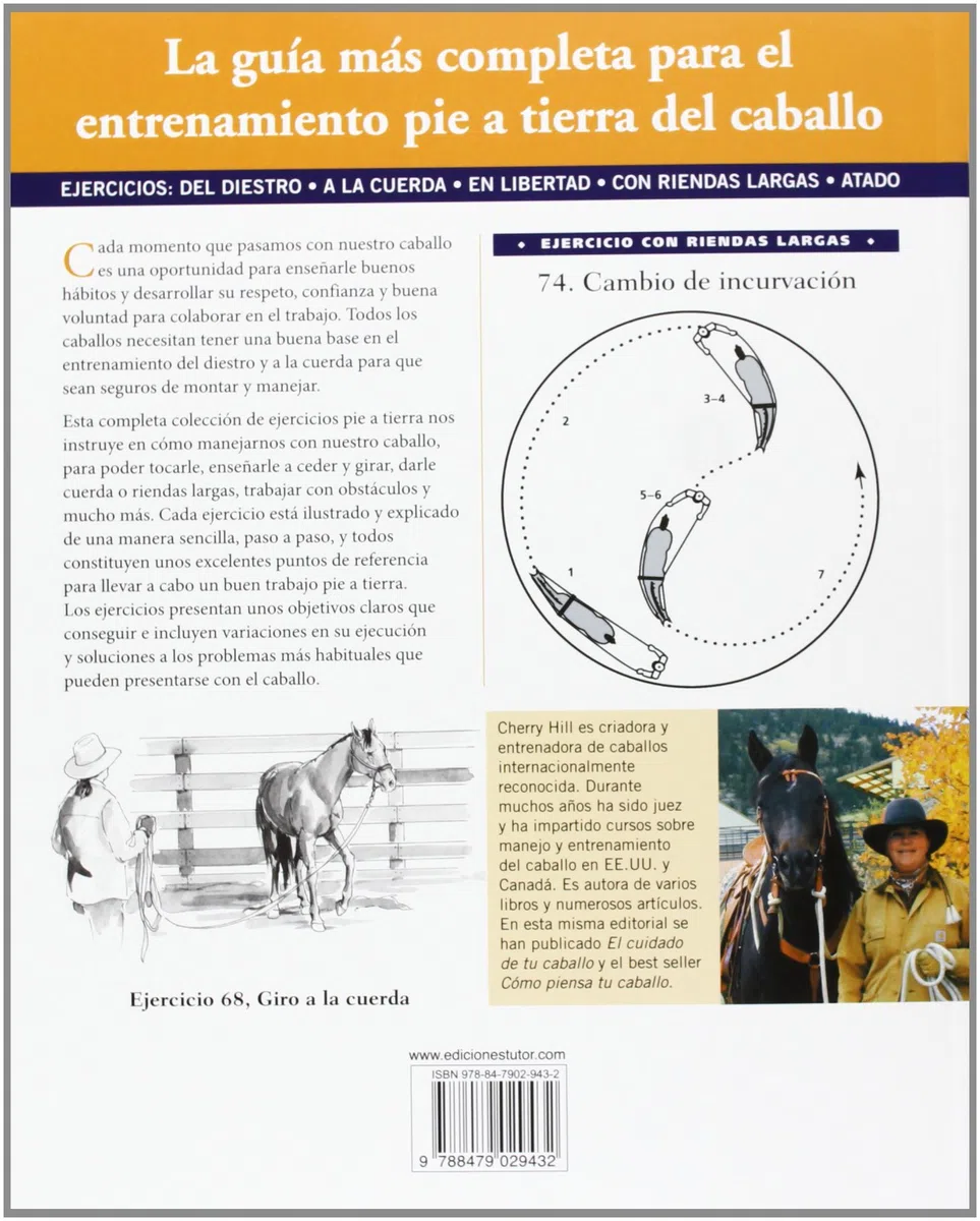 101 Ejercicios de entrenamiento pie a tierra. Para el caballo y el jinete (DEPORTES)