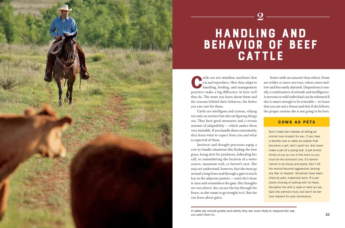 Storey's Guide to Raising Beef Cattle, 4th Edition: Health, Handling, Breeding