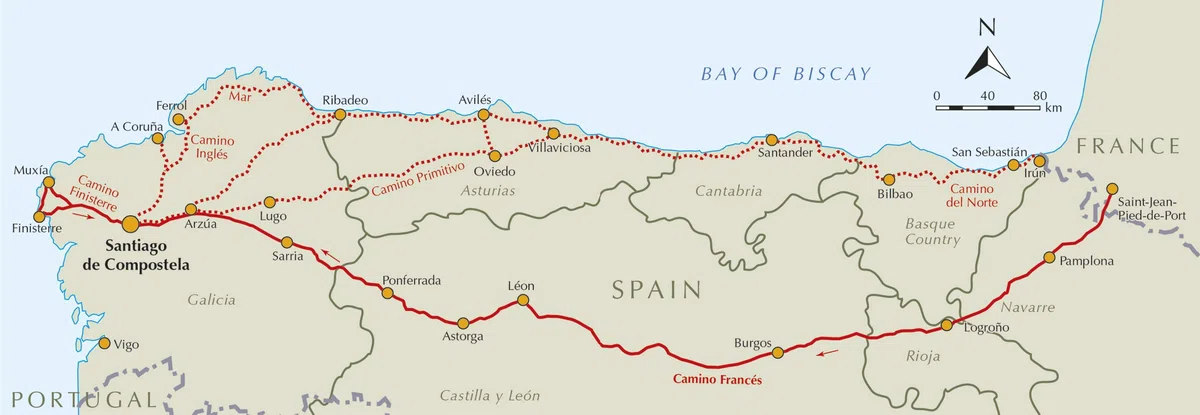 Camino de santiago : camino frances: Guide and map book - includes Finisterre finish (Cicerone Guides)
