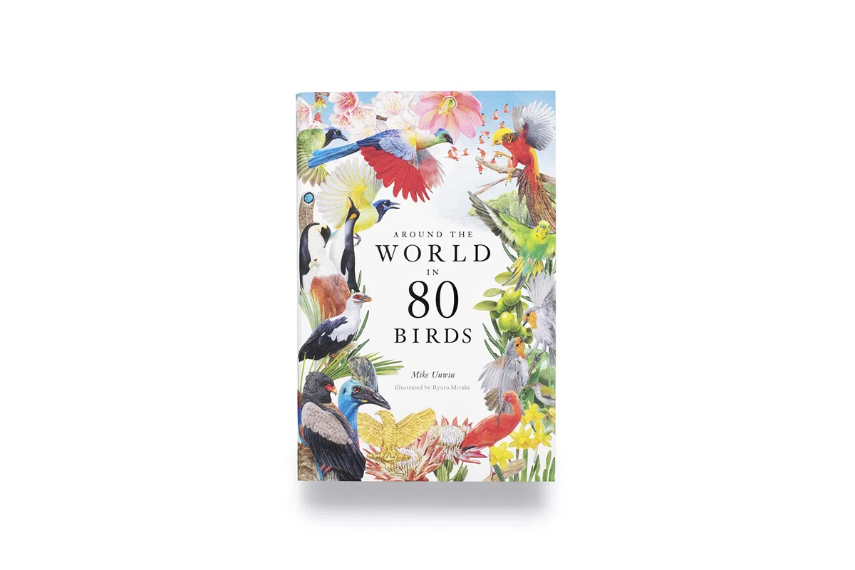 Around the World in 80 Birds (Hardback) /anglais