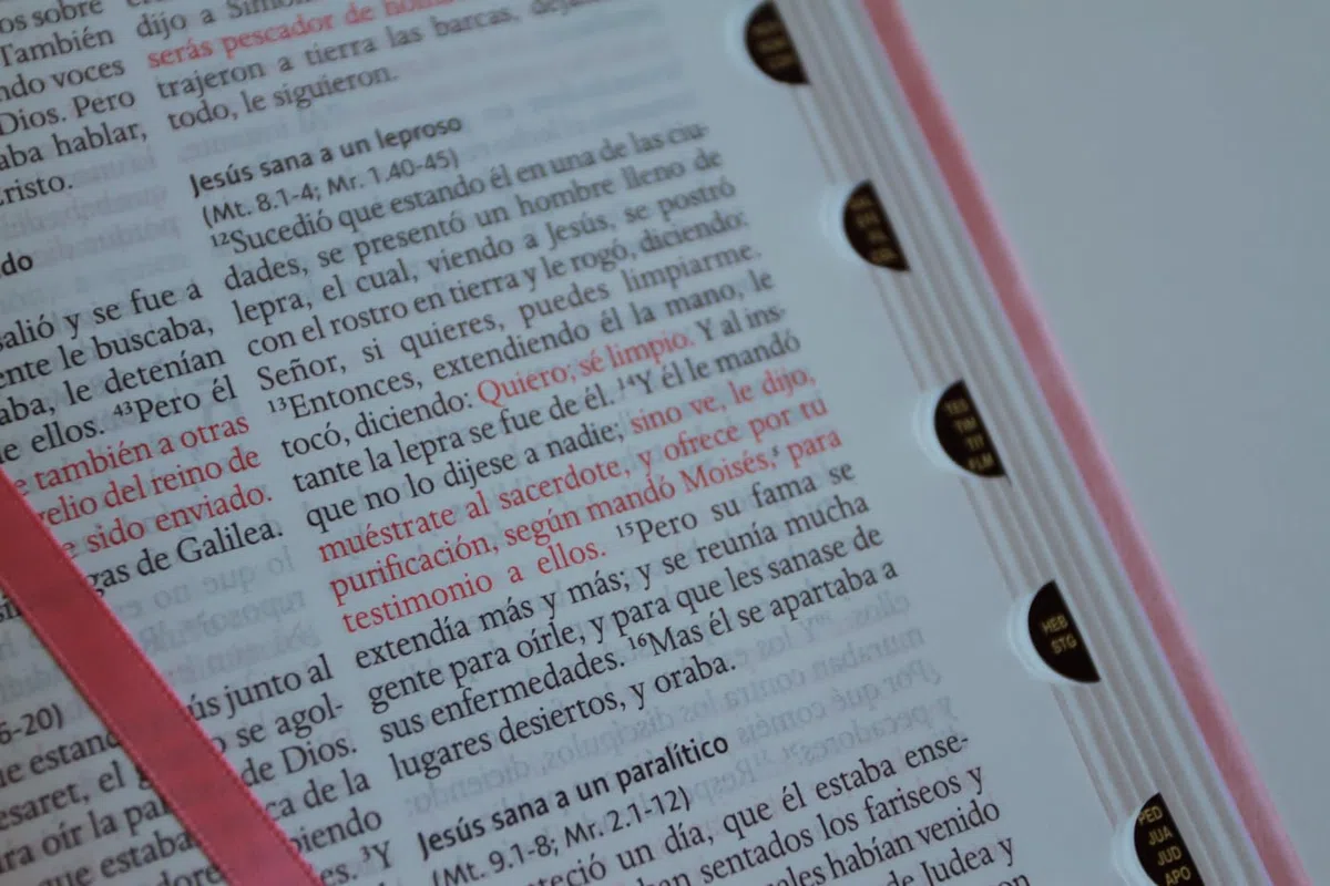 Biblia RVR 1960 letra grande tamaño manual, Piel rosada con índice / Spanish Bible RVR 1960 Handy Size Large Print Leathersoft pink with index: ... 1960 Leathersoft (ORIGEN EVANGÉLICO)