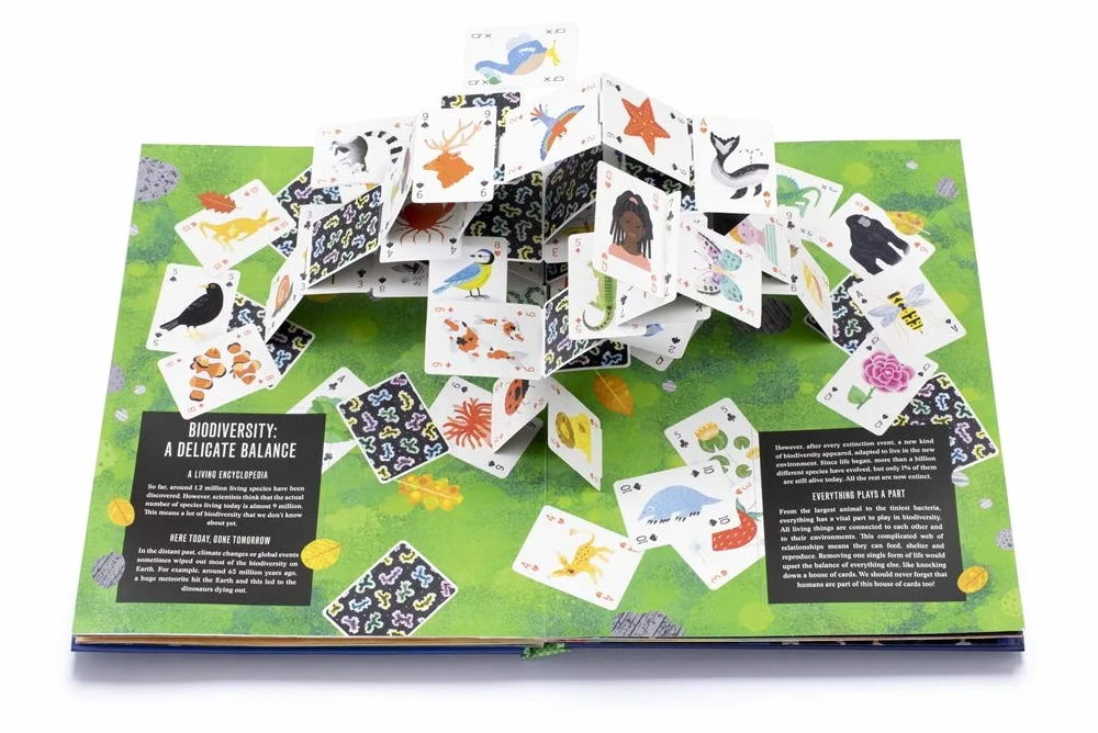Pop-up Earth: 1 (Pop-Up series)