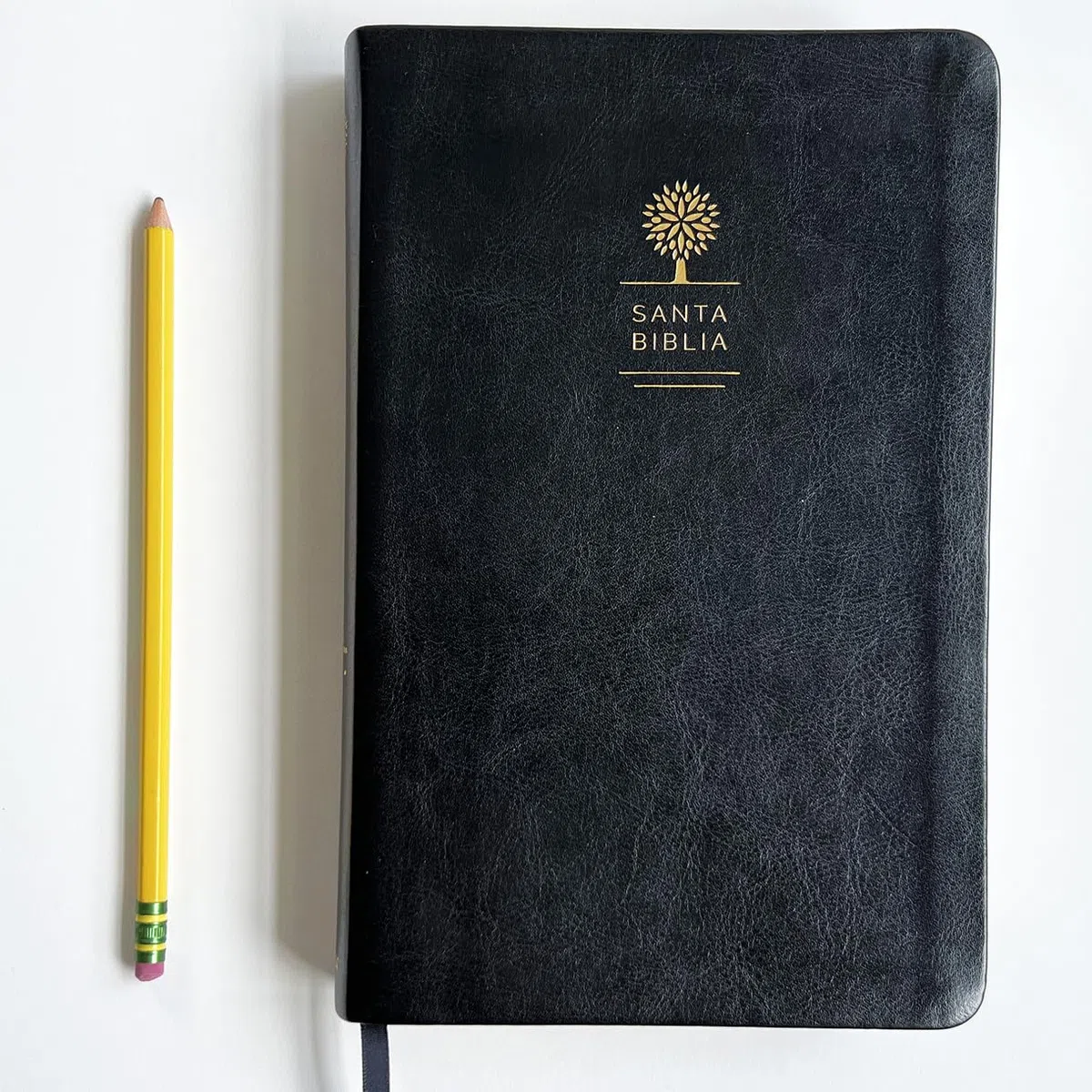 Biblia Reina Valera 1960 letra grande. Símil piel color negro, tamaño manual / Spanish Holy Bible RVR 1960. Handy Size, Large Print, Black Leathersoft