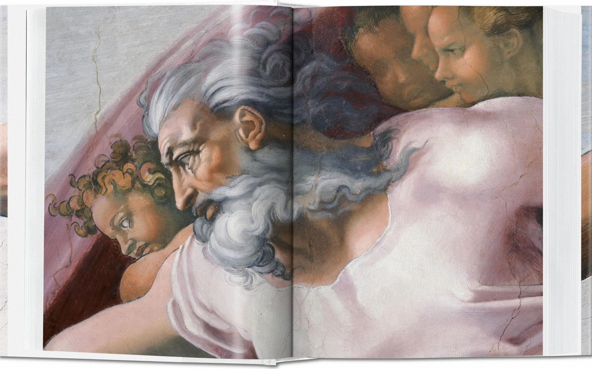 Miguel Ángel. La obra completa:pintura, escultura y arquitectura