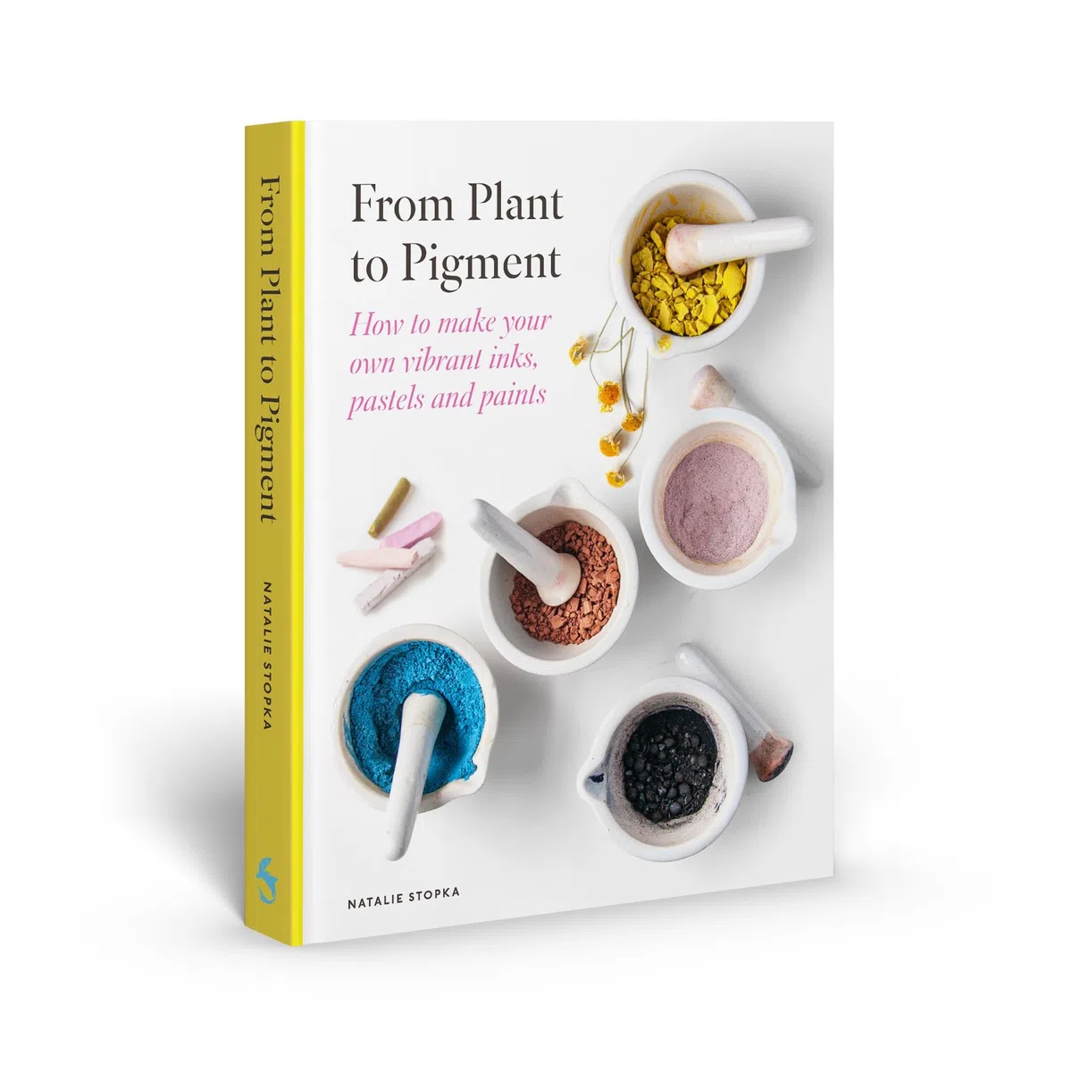 From Plant to Pigment: How to make your own vibrant inks, pastels and paints