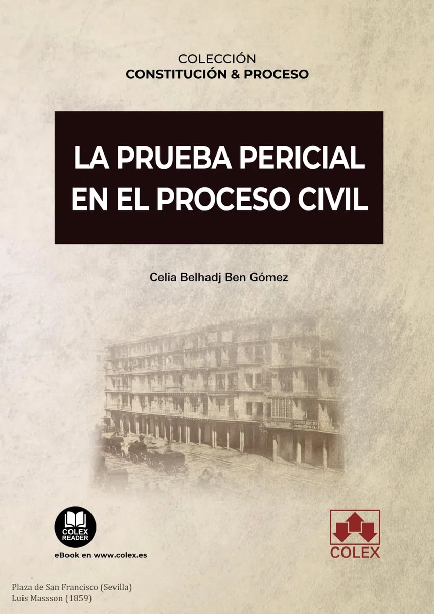 La prueba pericial en el proceso civil: 2 (Constitución y Proceso)