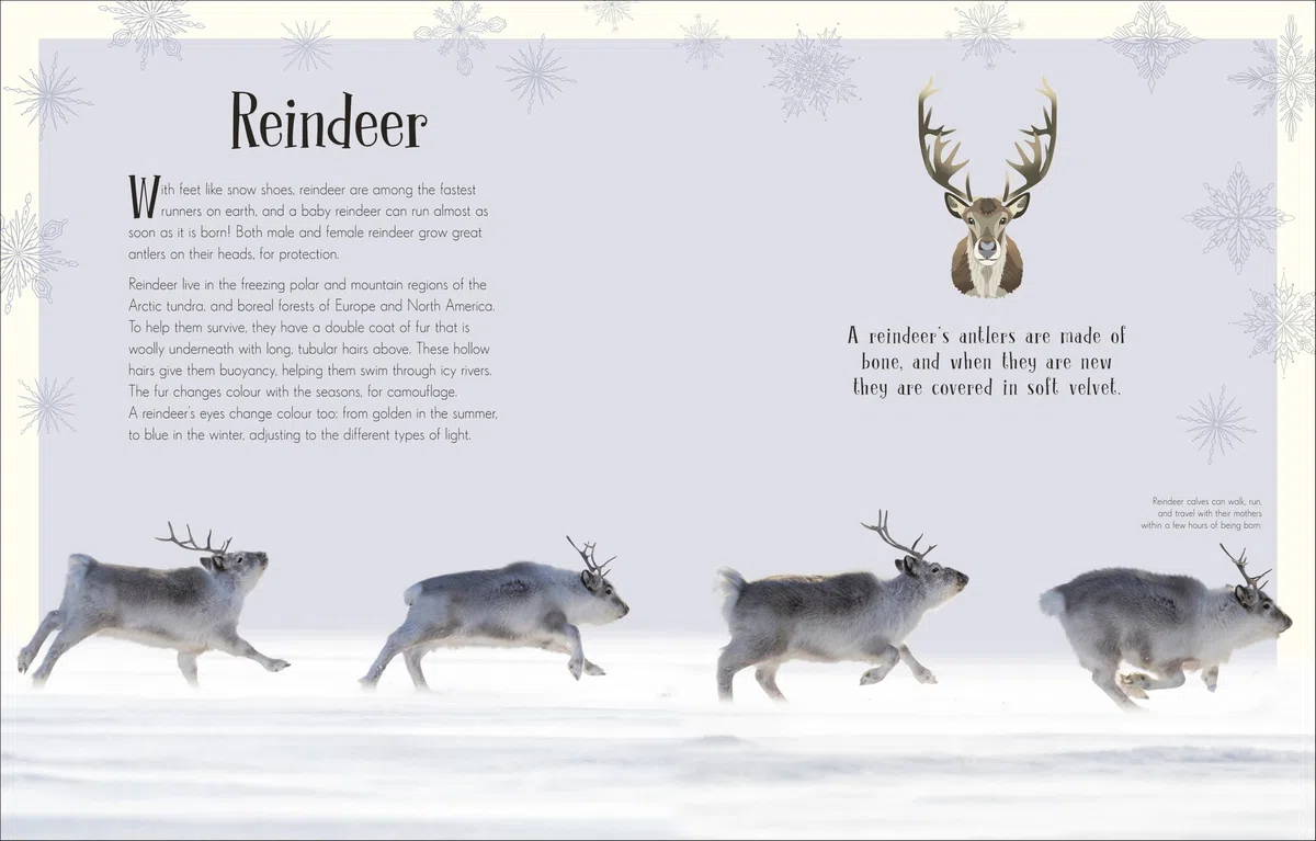 An Anthology of Christmas: Discover the Magical Stories of the Festive Season (DK Children's Anthologies)