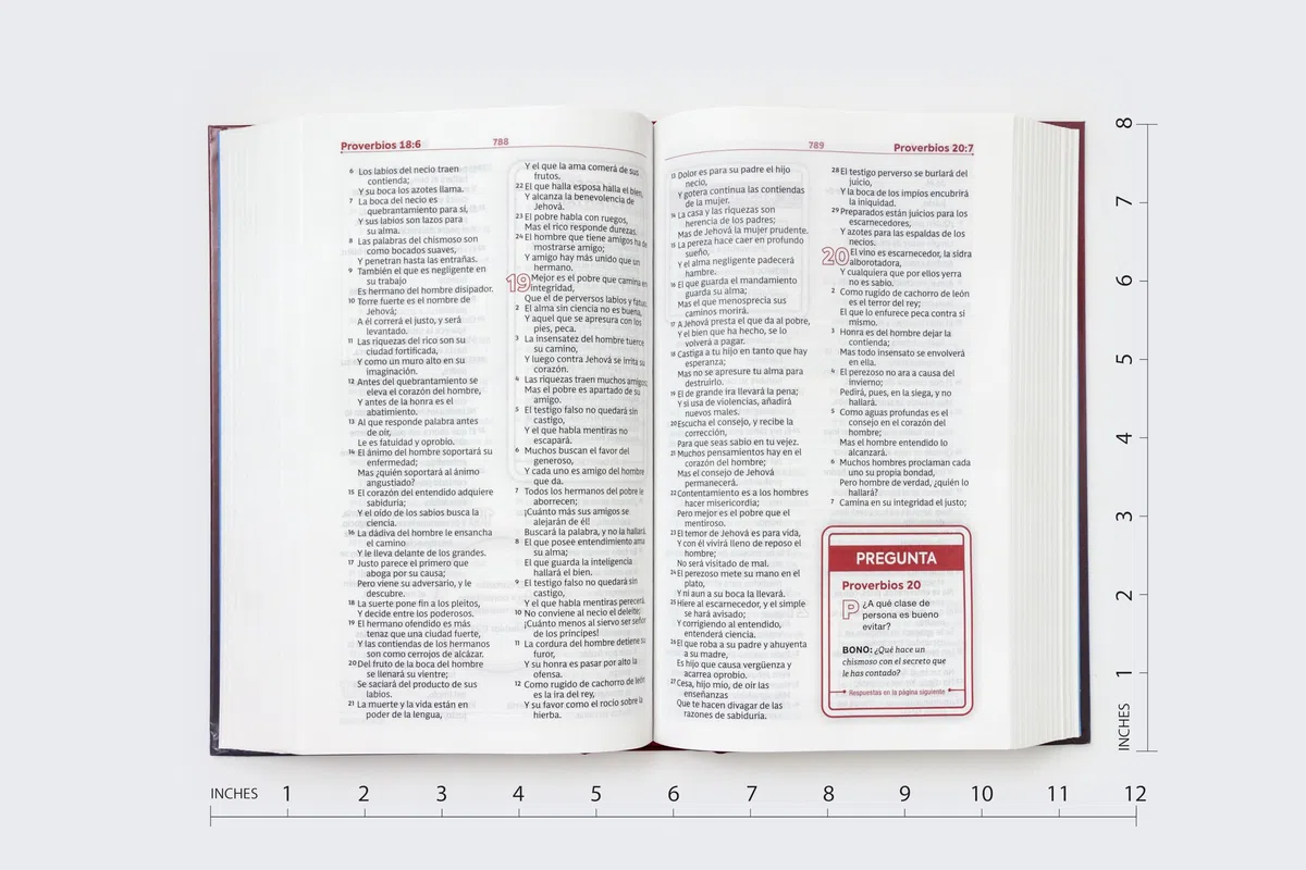 RVR60, Biblia de Estudio para Jóvenes Adolescentes, Tapa dura, Palabras de Jesús en Rojo, Comfort Print: Reina-Valera 1960, Estudio para jóvenes, roja, Comfort Print