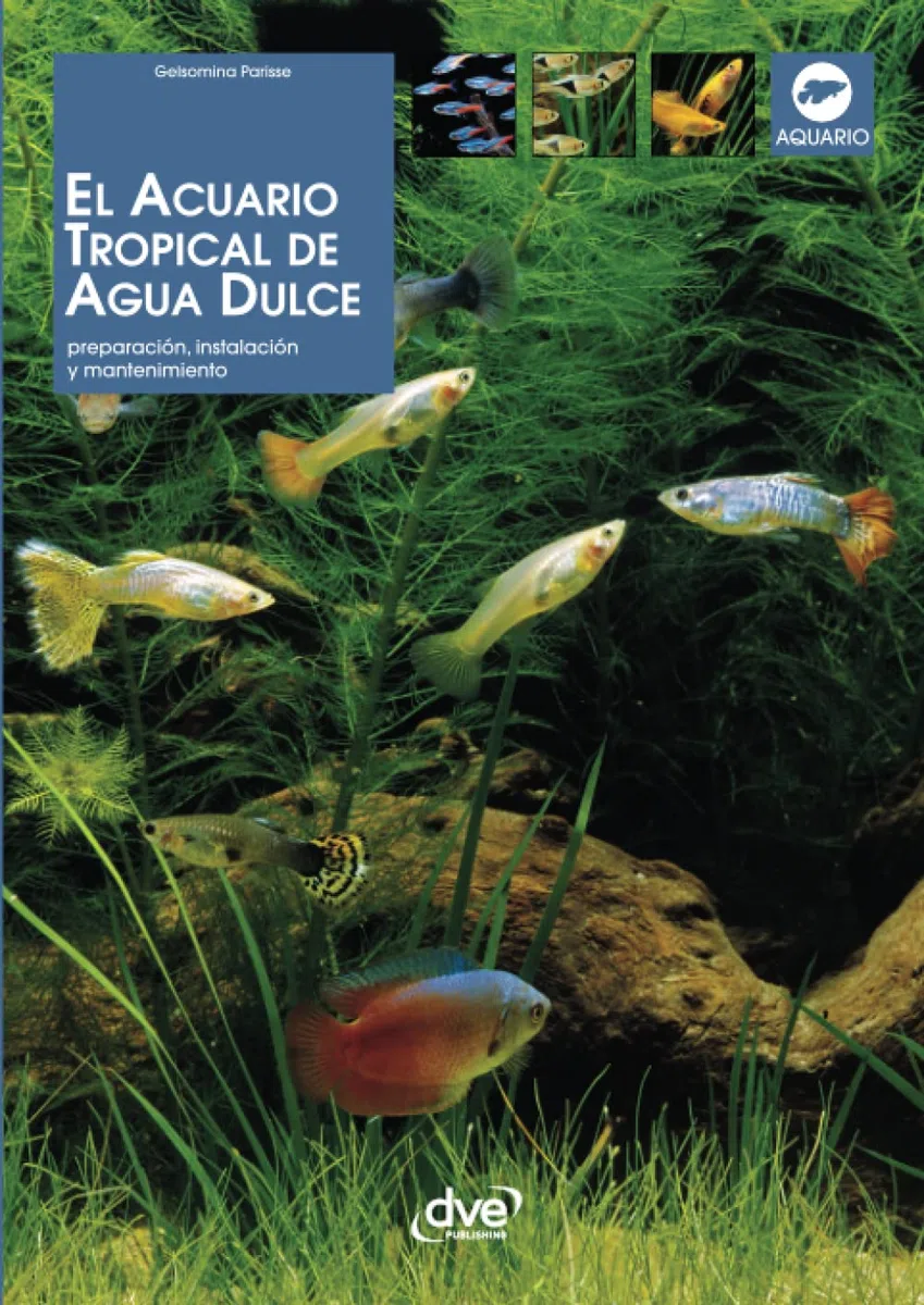 EL ACUARIO TROPICAL DE AGUA DULCE