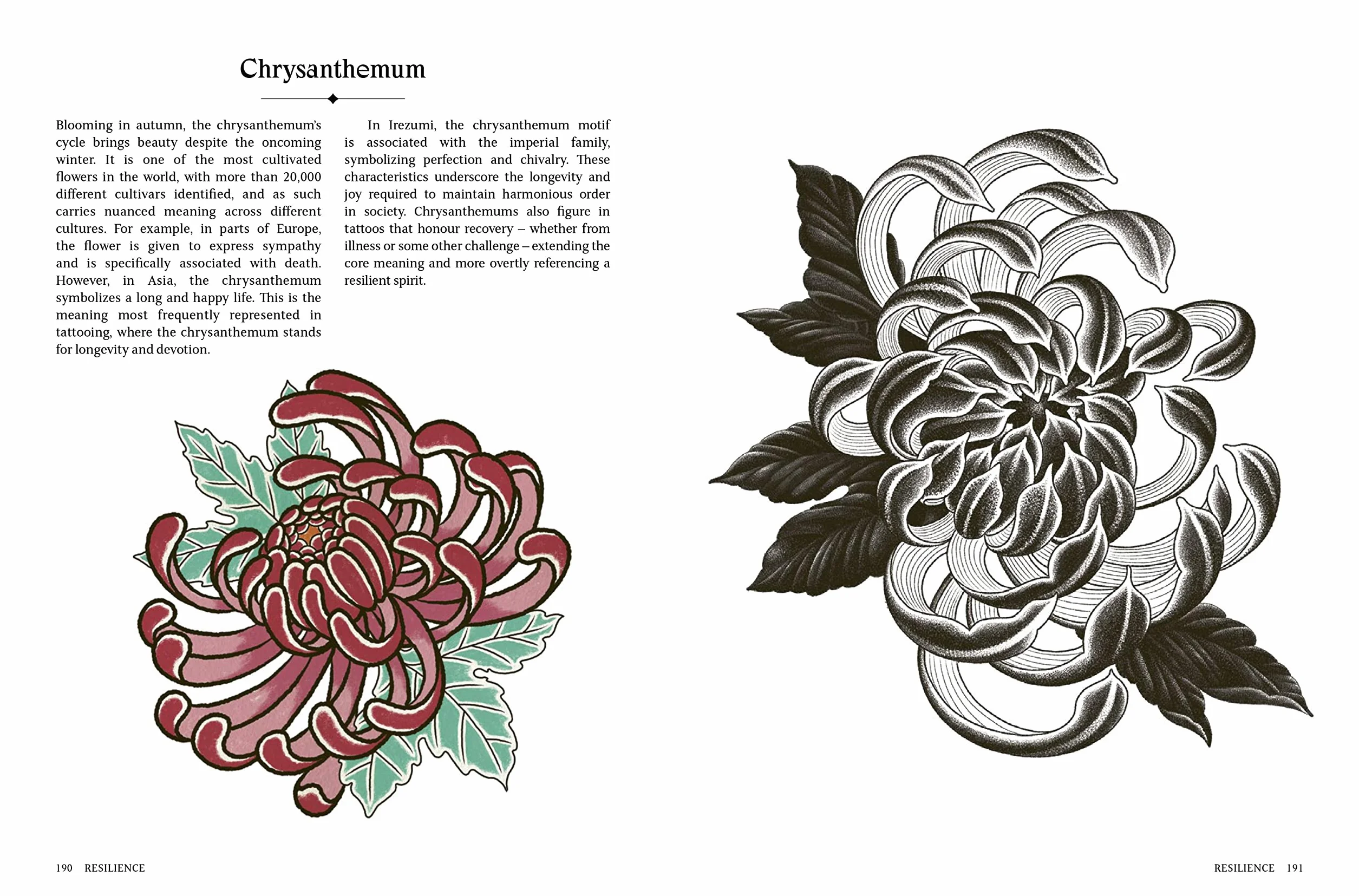 The Language of Tattoos: 130 Symbols and What They Mean (Frances Lincoln)