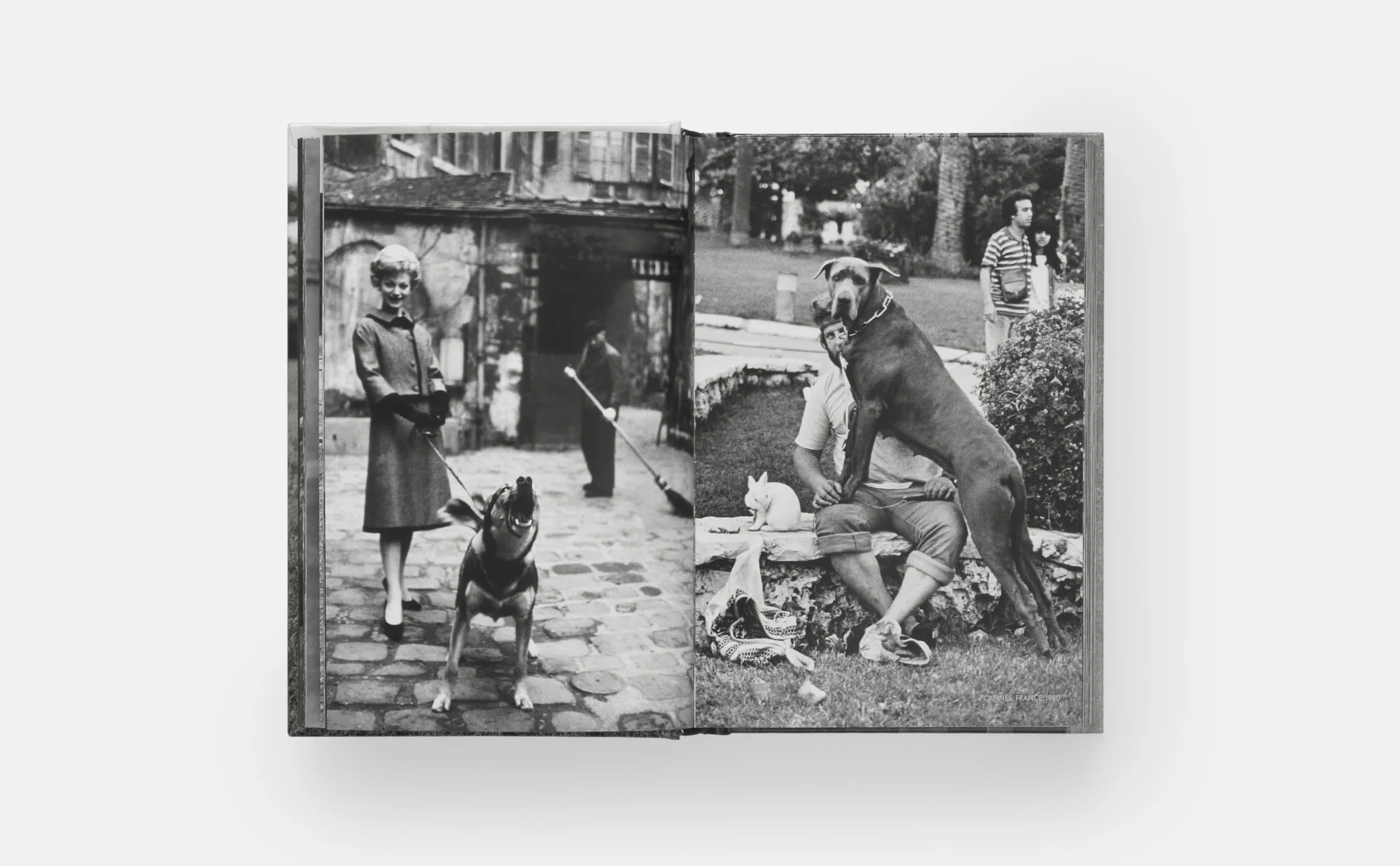 Dogdogs (PHOTOGRAPHY)