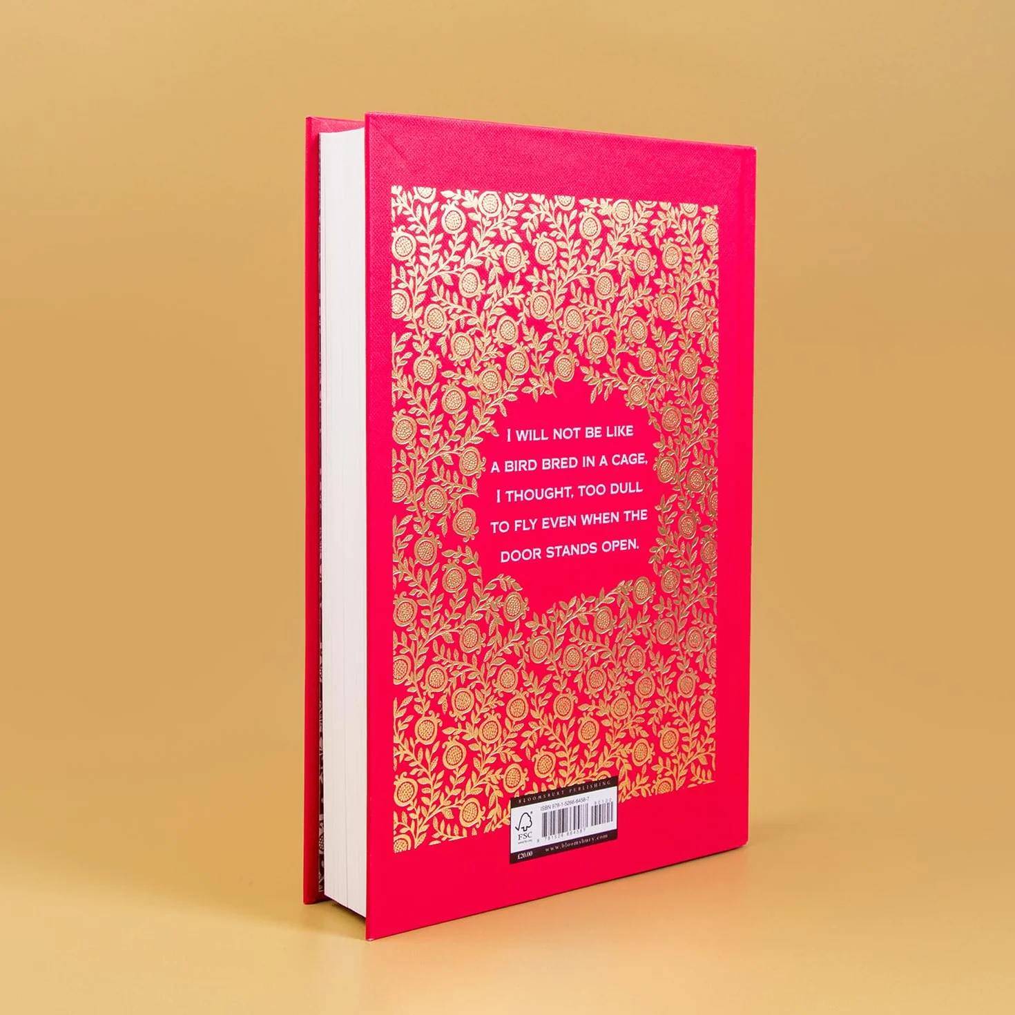 Circe: The stunning new anniversary edition from the author of international bestseller The Song of Achilles