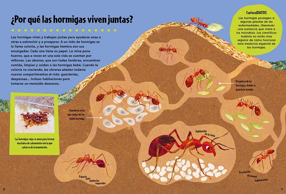 El gran libro de los grandes PORQUÉS: El libro de preguntas y respuestas definitivo para resolver todos los porqués (No ficción ilustrados)