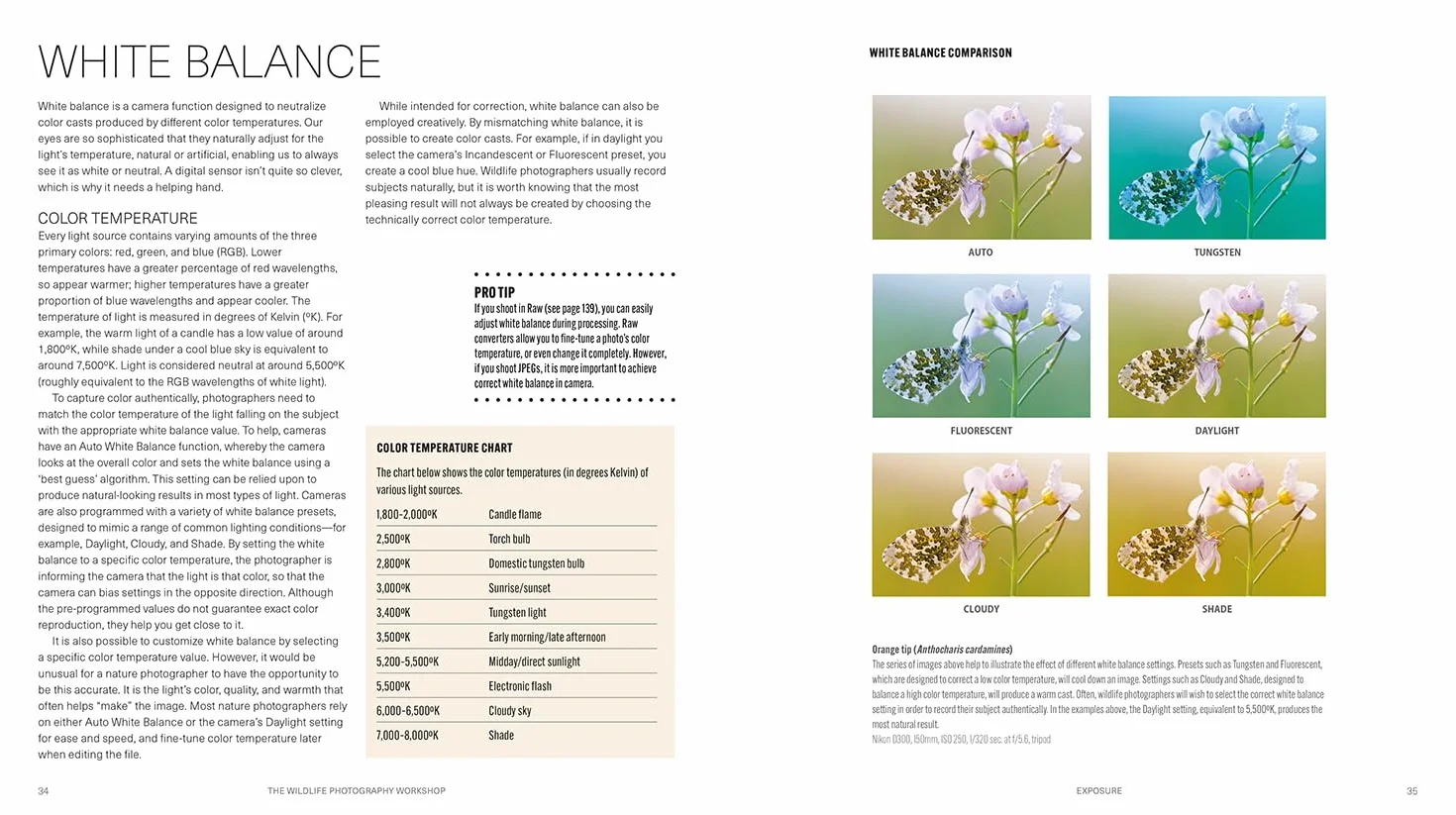 Wildlife Photography Workshop, The