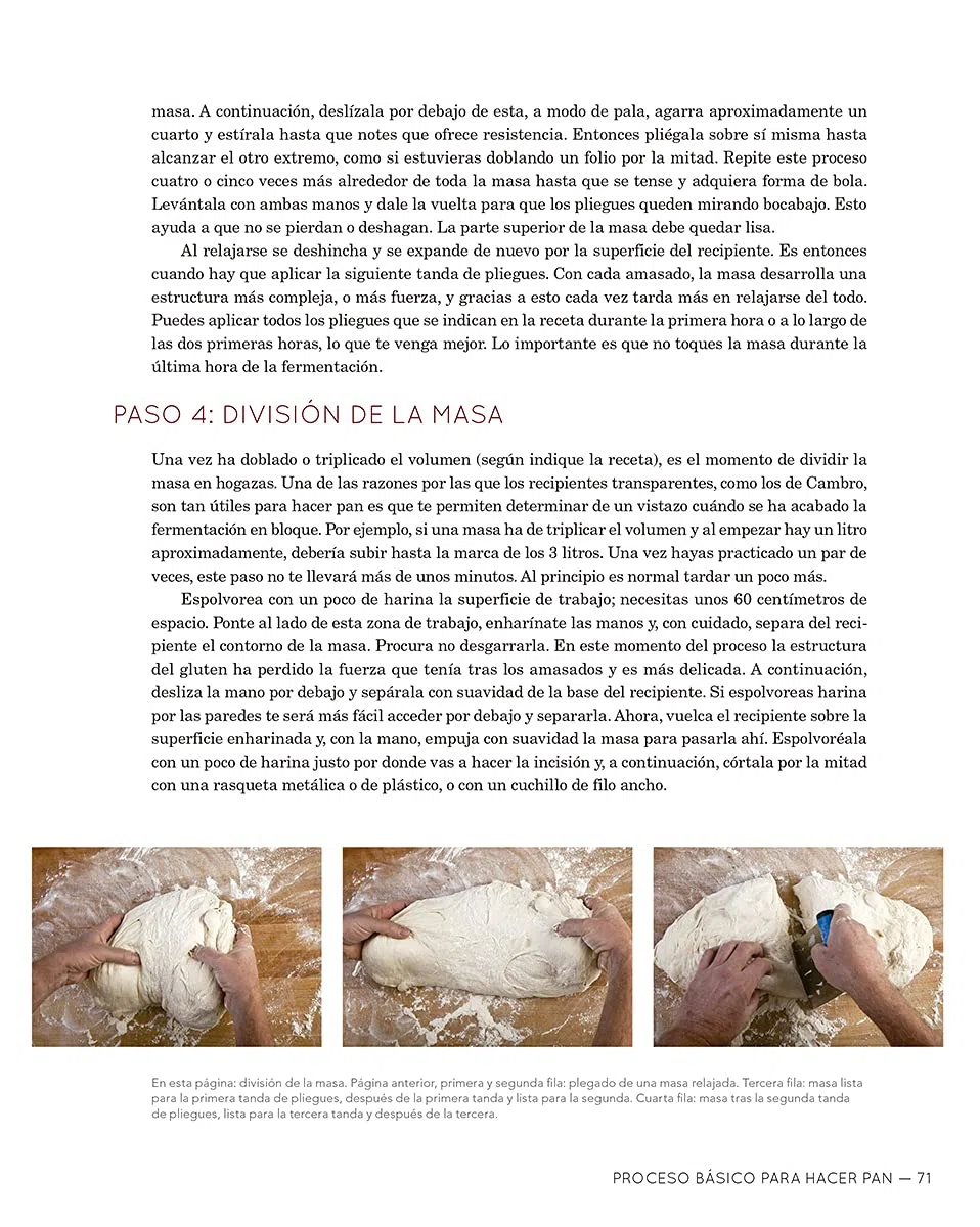Harina agua sal levadura: Los fundamentos del pan y la pizza artesanos (NeoPerson Cook)