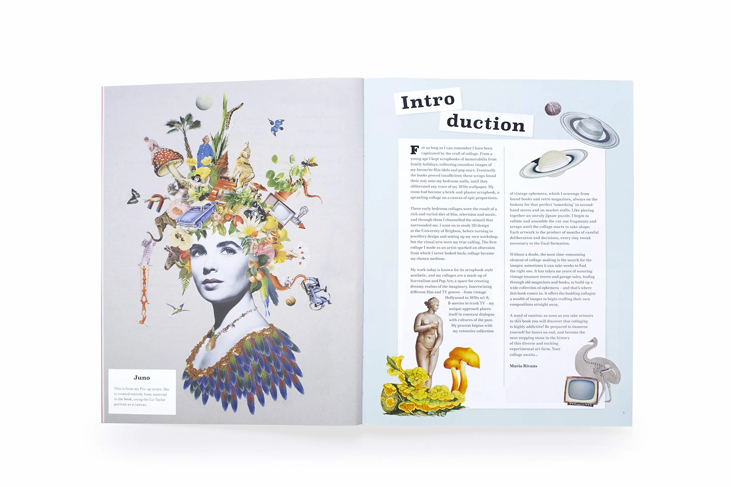 Extraordinary things to cut out and collage