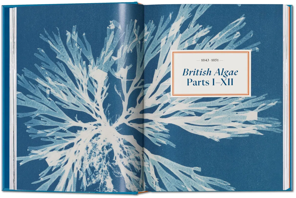 Anna Atkins: Cyanotypes. 45th Ed. (45th Edition)