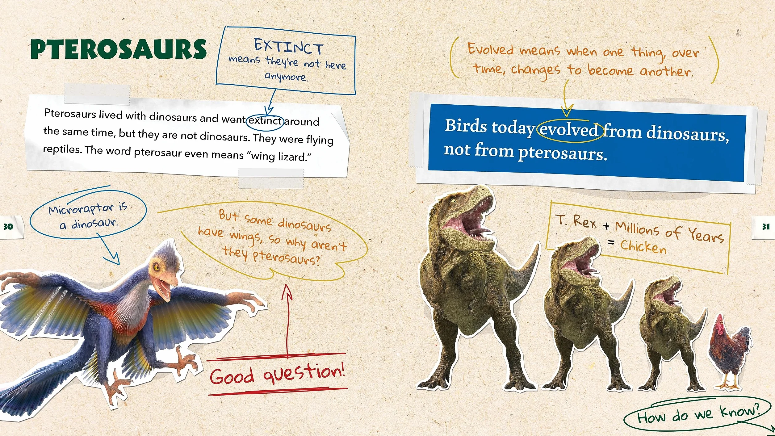 Dino Dana: Dino Field Guide: Pterosaurs and Other Prehistoric Creatures! (Dinosaurs for Kids, Science Book for Kids, Fossils, Prehistoric): 2