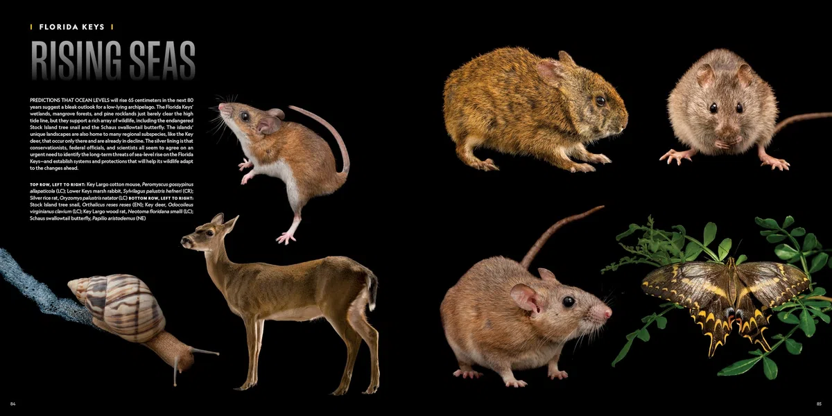 National Geographic The Photo Ark Vanishing: The World's Most Vulnerable Animals