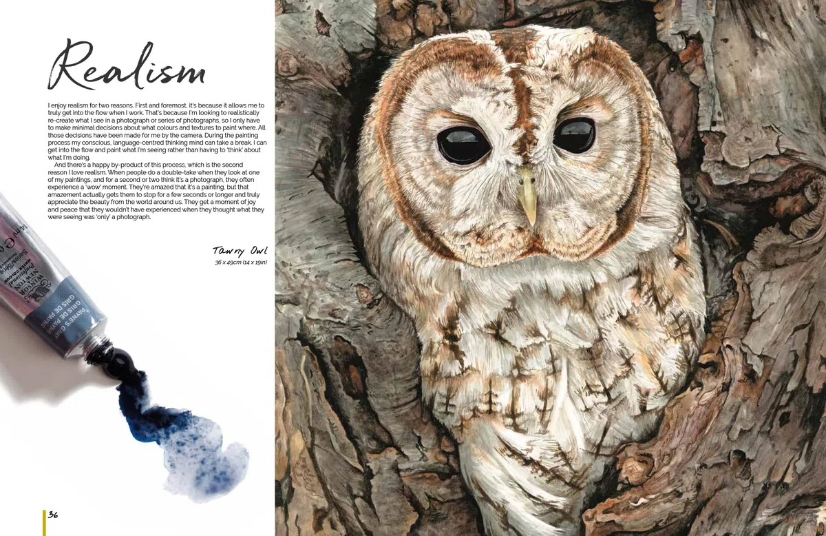 Anna Mason's Watercolour World (paperback edition): Create Vibrant, Realistic Paintings Inspired by Nature